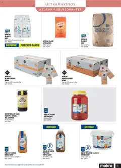DULCE DE LECHE TOPPING METRO CHEF, Botella de 1,2 kg │ válido desde el 11.06.2025 | Página: 15