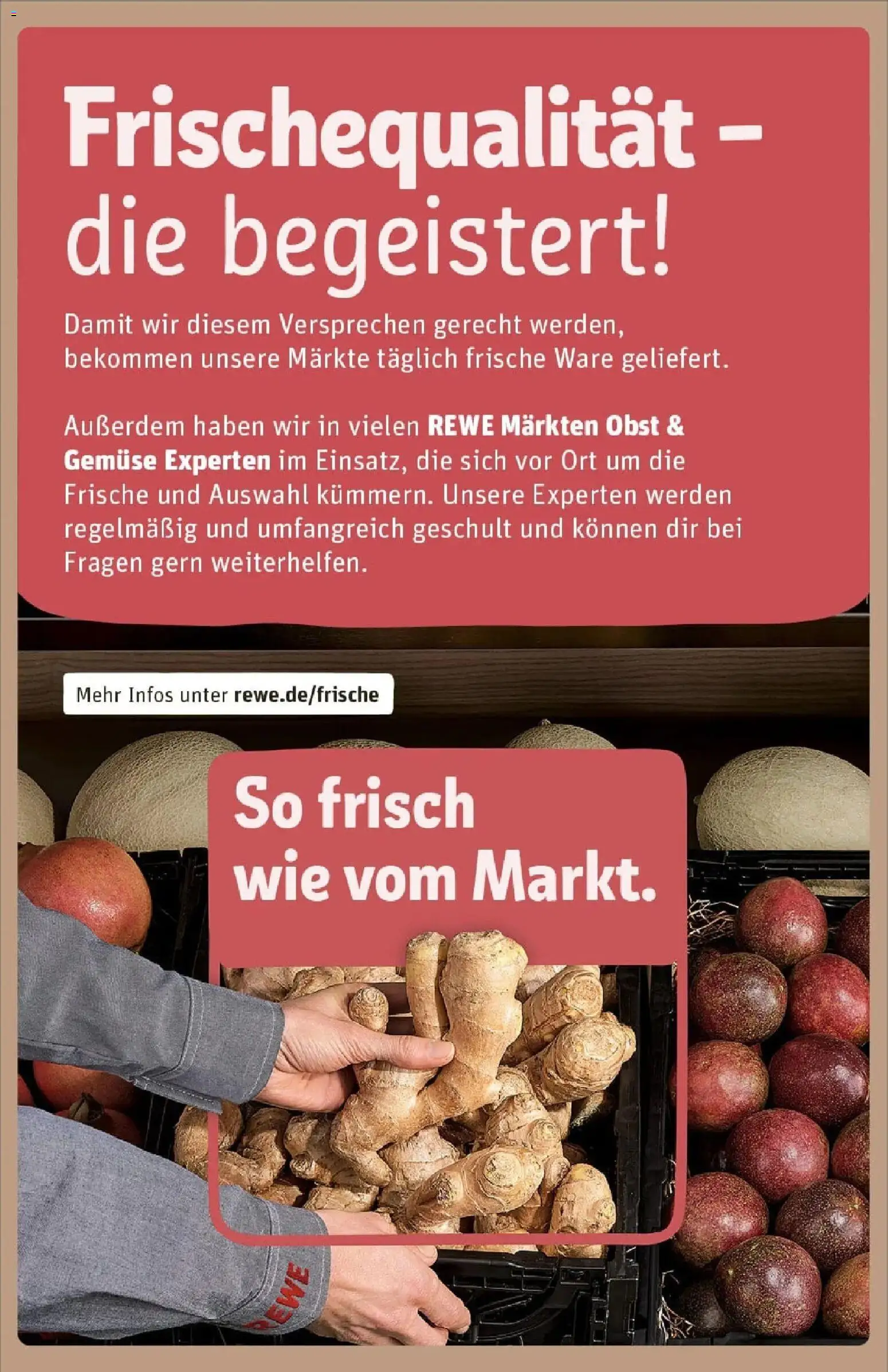 Rewe prospekt Bremen	 – gültig ab 22.12.2025 | Seite: 27 | Produkte: Gemüse, Obst