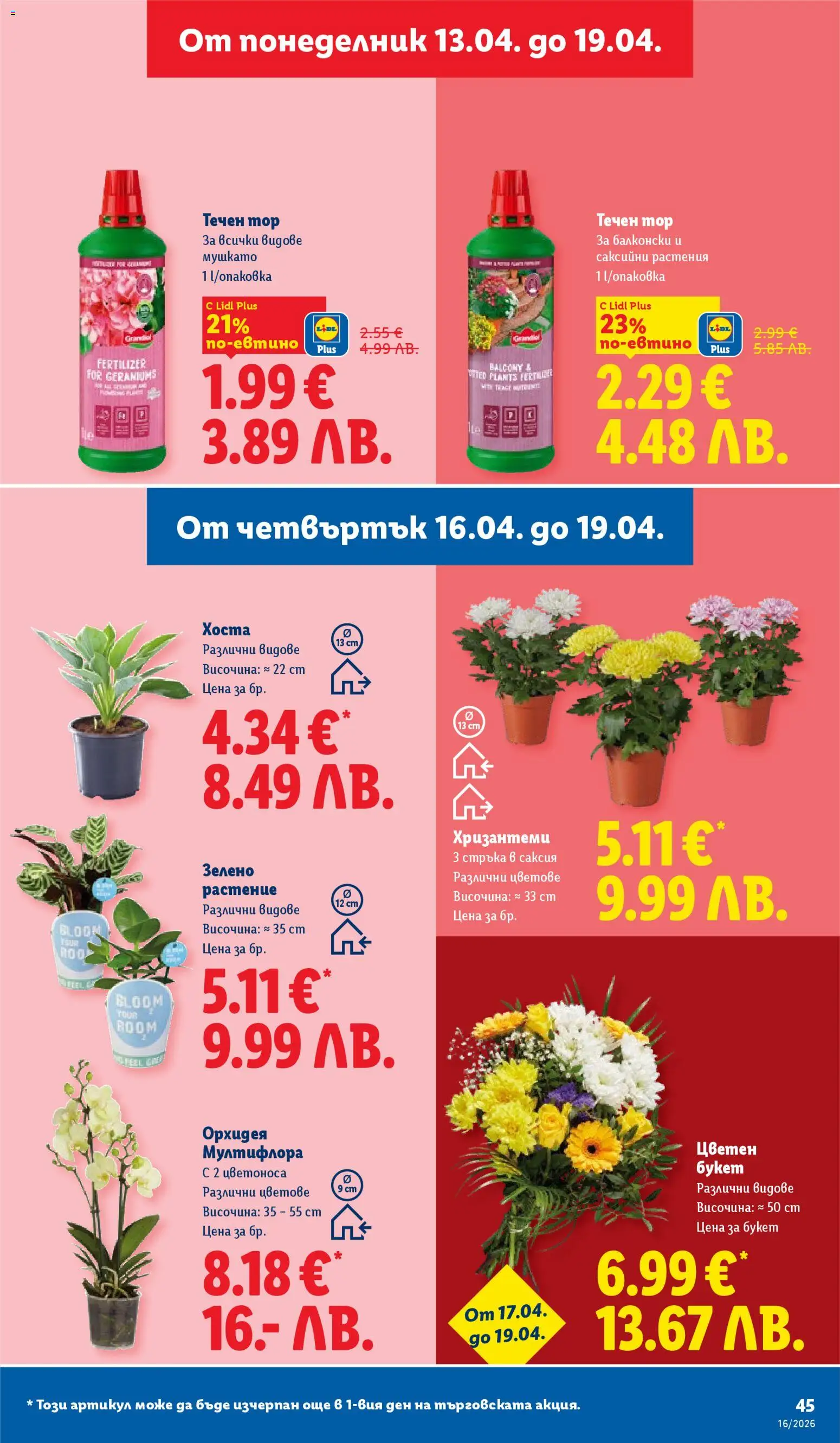 {H1} | Страница: 45 | Продукти: Орхидея, Саксия