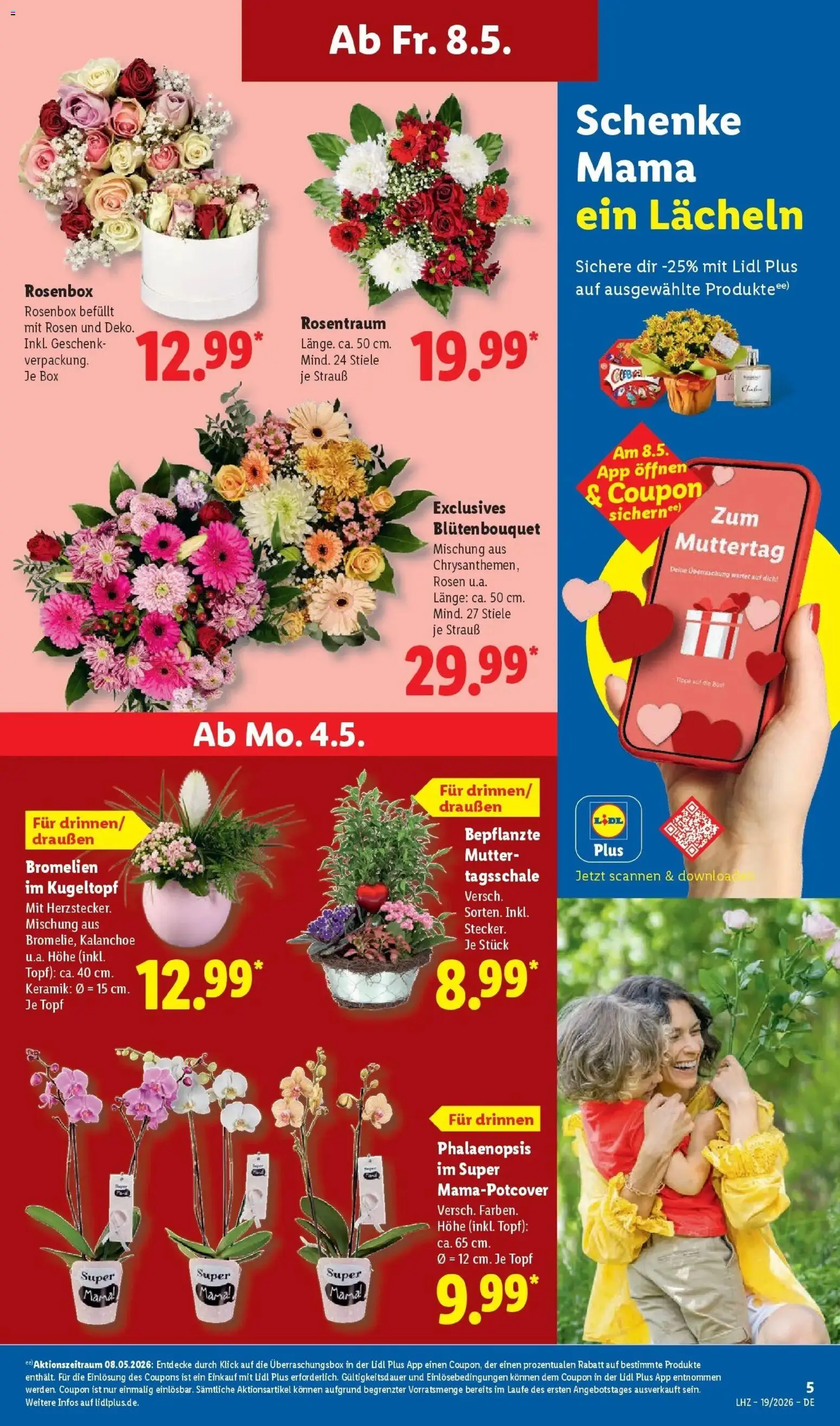 Lidl Německo leták od 04.05.2026 | Strana: 15 | Produkty: Kalanchoe, Box