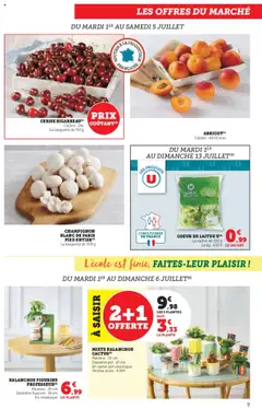  | Page: 7 | Produits: Plantes, Laitue, Champignon