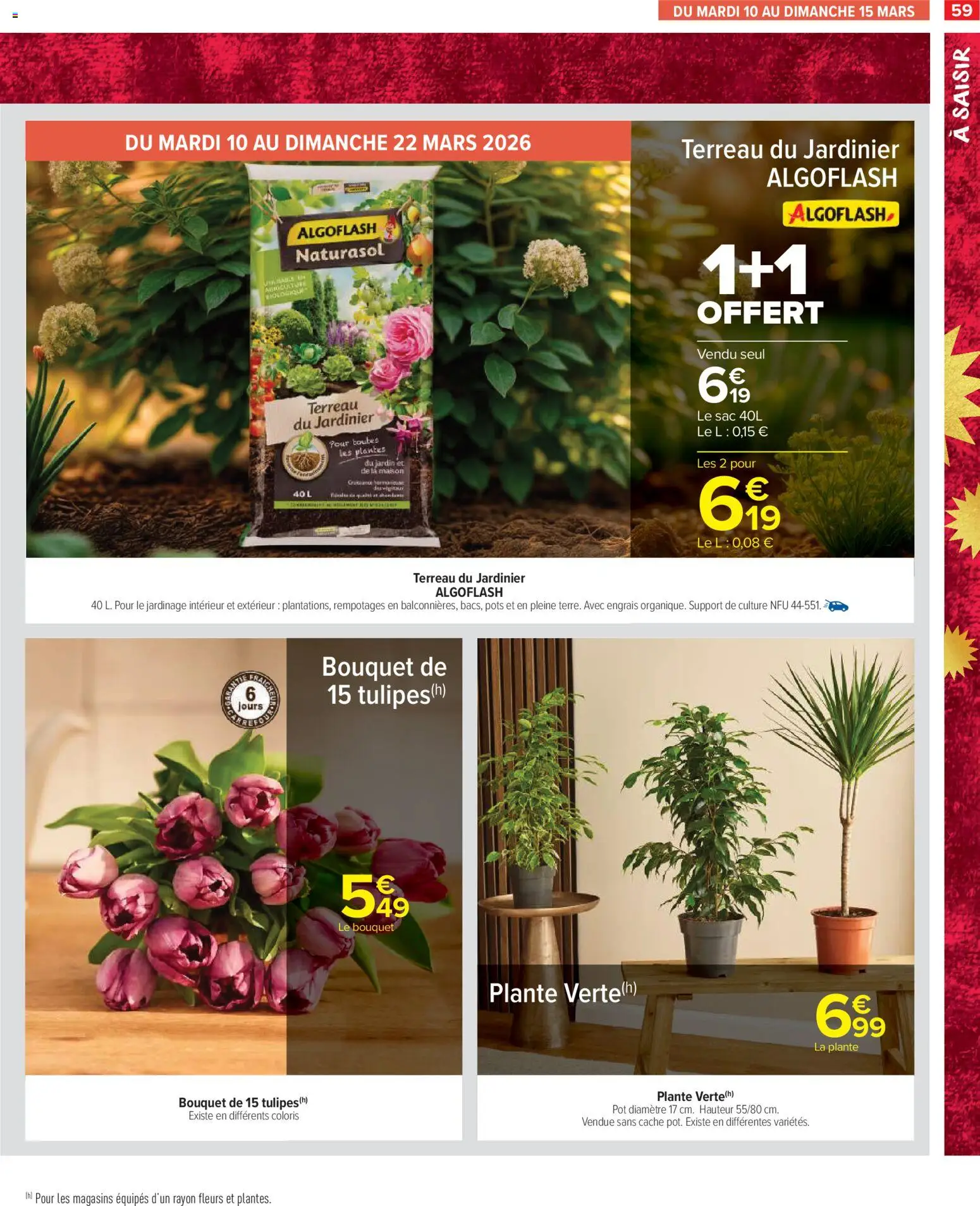 {H1} | Page: 61 | Produits: Sac, Plantes, Terreau