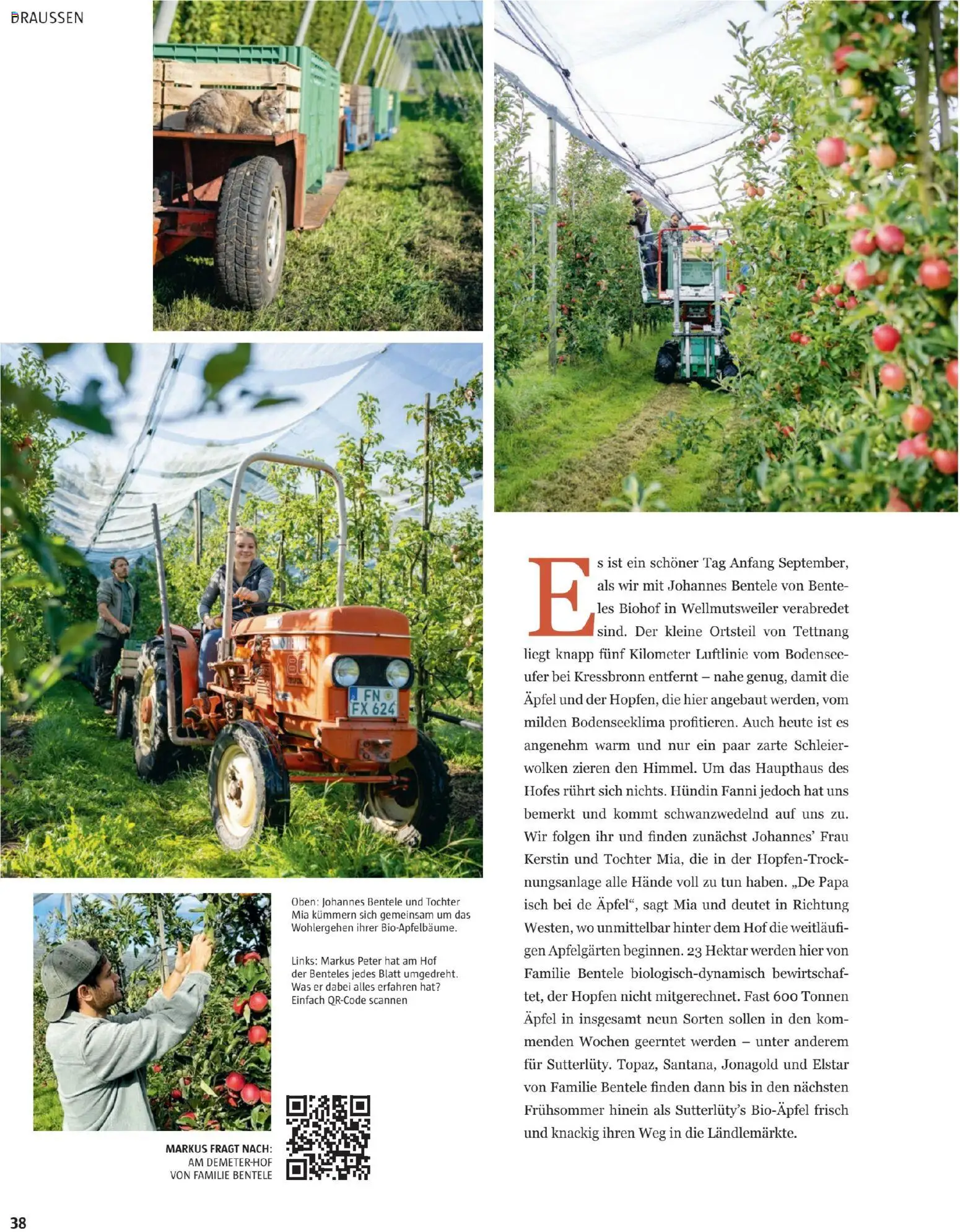 Sutterlüty B’sundrig Magazine gültig ab 17.11.2025 | Seite: 103 | Produkte: Äpfel