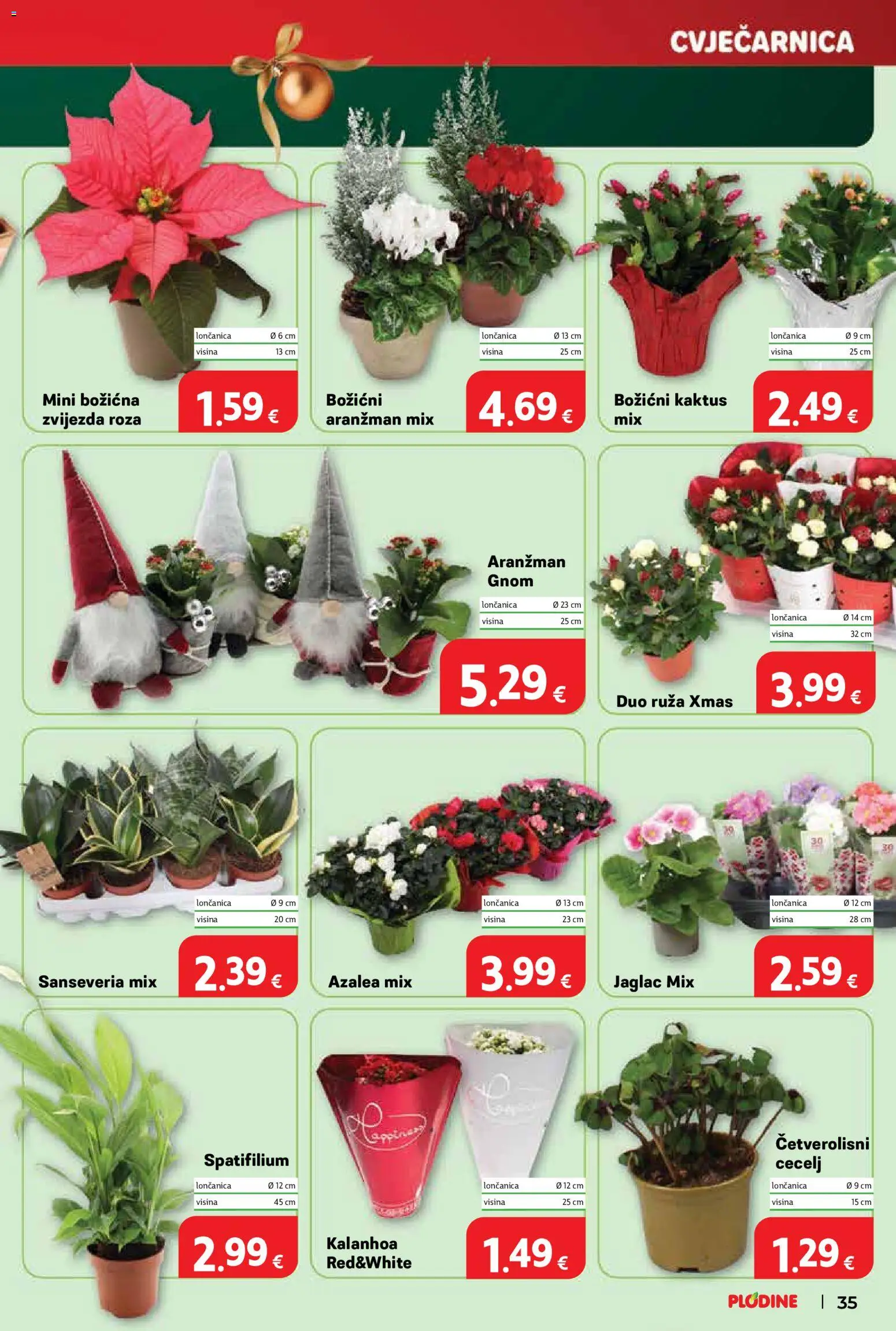 Plodine katalog | vrijedi od 17.12.2025 | Stranica: 35