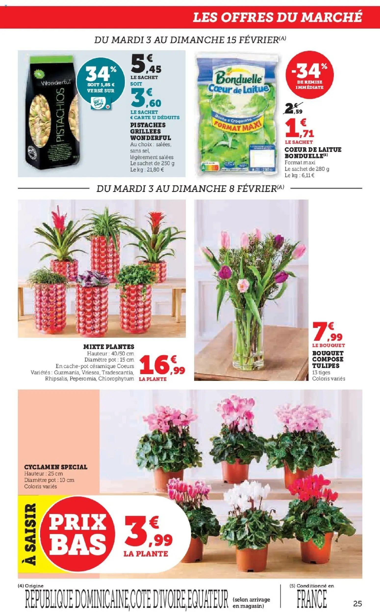 {H1} | Page: 25 | Produits: Plantes, Laitue, Pistaches, Tulipes