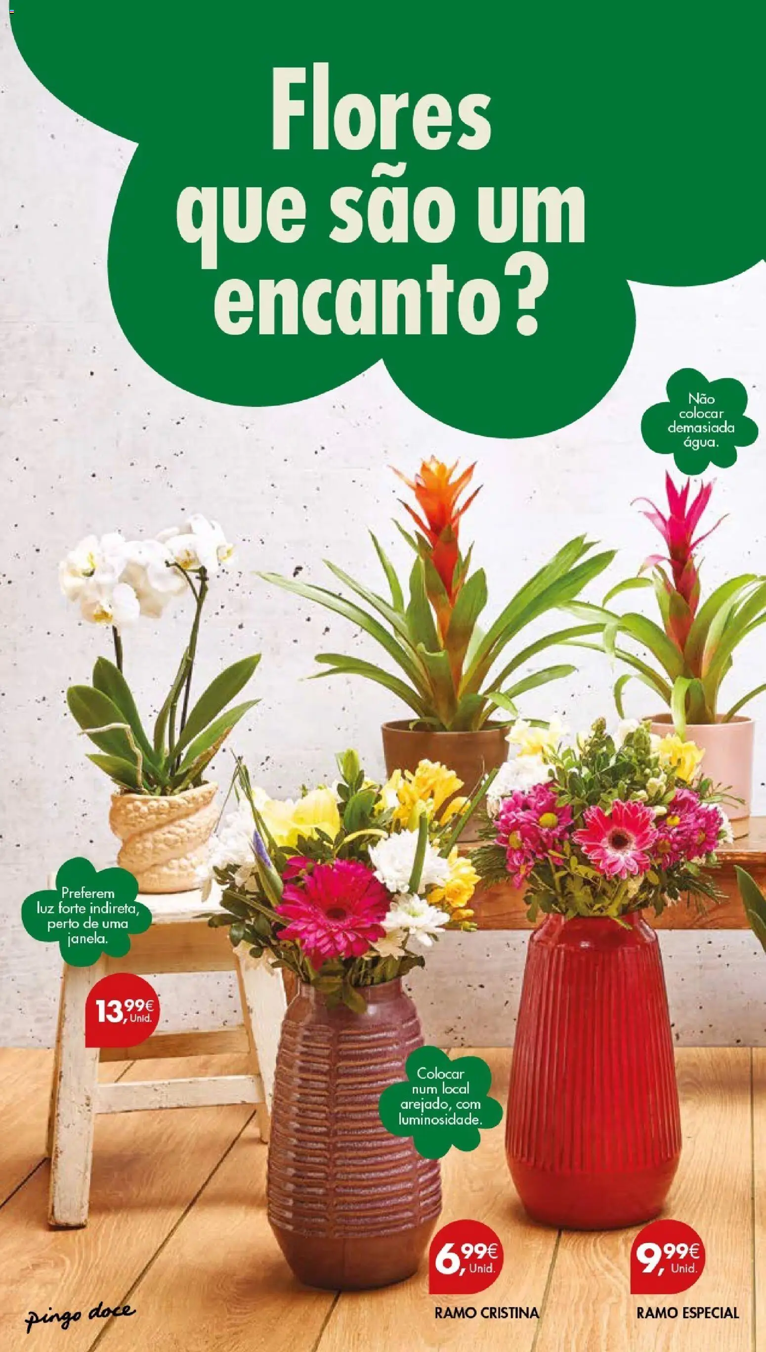 Pingo Doce Poupe este Fim de Semana │ válido de 27.02.2026 | Página: 6 | Produtos: Flores
