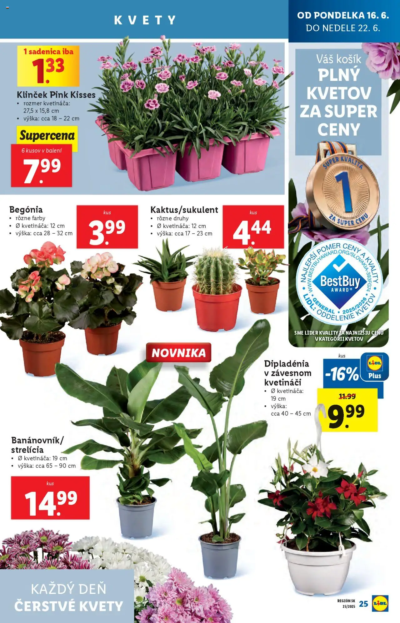 Lidl leták │ platný od 16.06.2025 | Strana: 29 | Produkty: Kvety