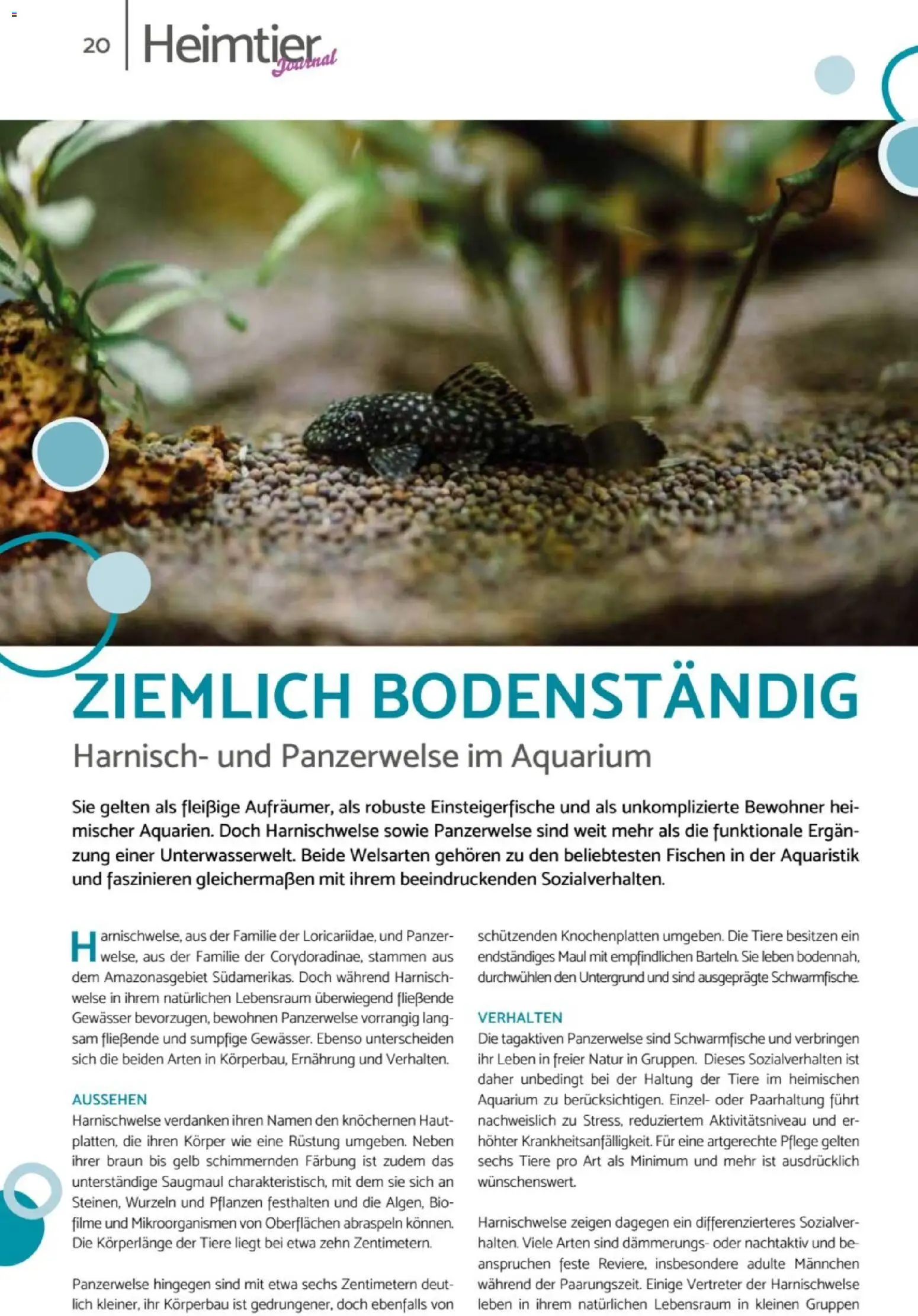 zookauf Heimtier Journal – gültig ab 01.04.2026 | Seite: 20