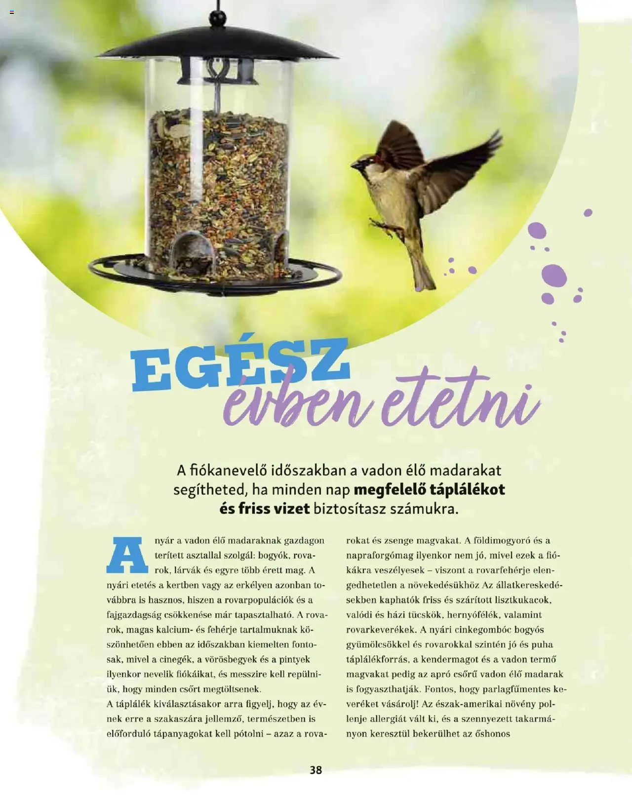 Fressnapf akciós ujság - amely érvényes a következő dátumtól: 05.05.2025 | Oldal: 38 | Termékek: Napraforgómag, Fehérje, Földimogyoró