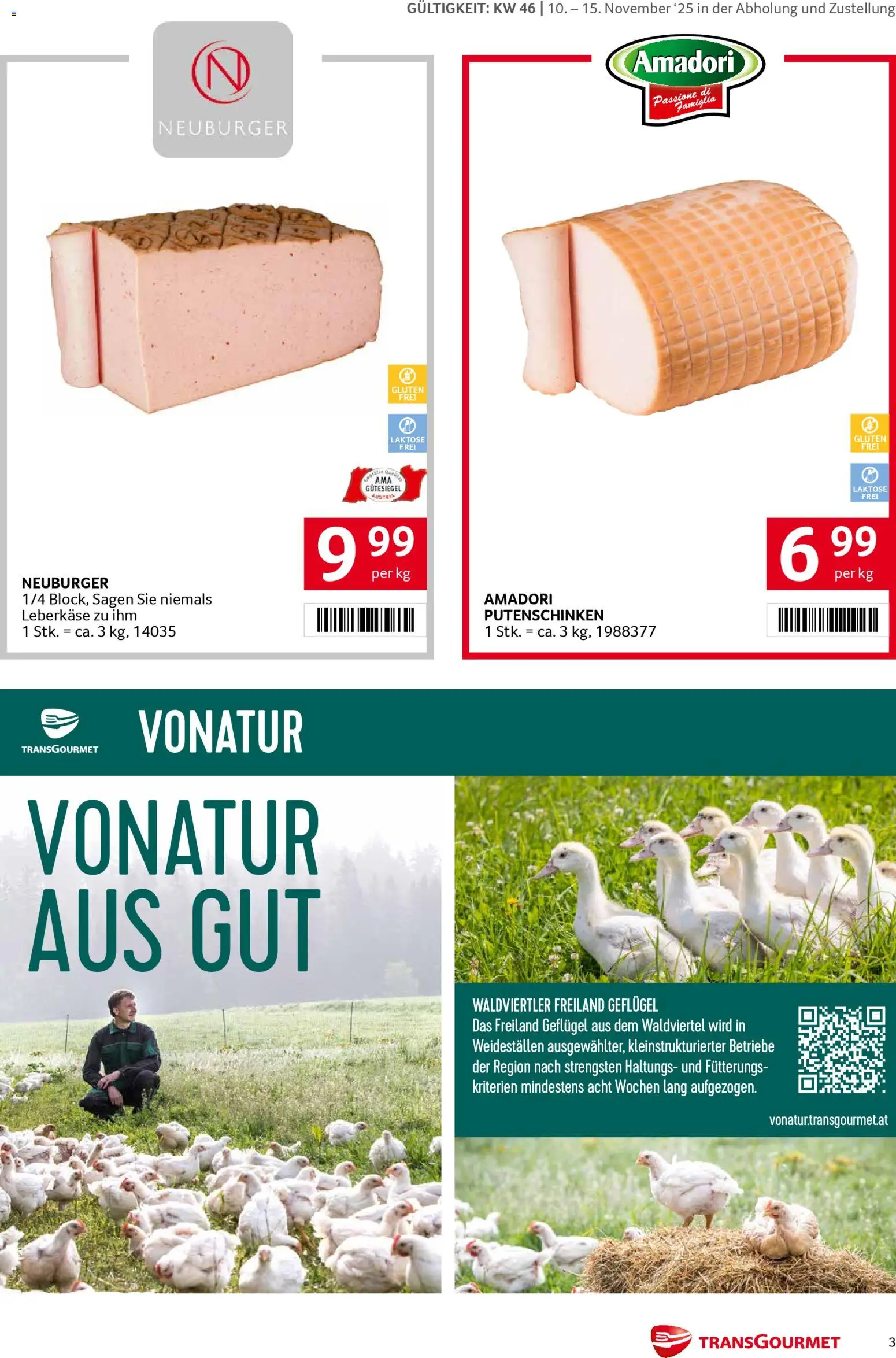Transgourmet  Markenfestwoche gültig ab 10.11.2025 | Seite: 3
