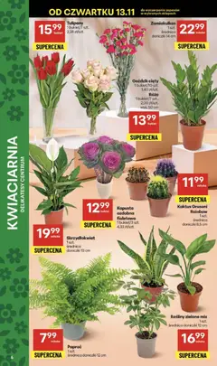 Pogląd oferty "Delikatesy Centrum Gazetka" - ważna od 13.11.2025 | Strona: 6