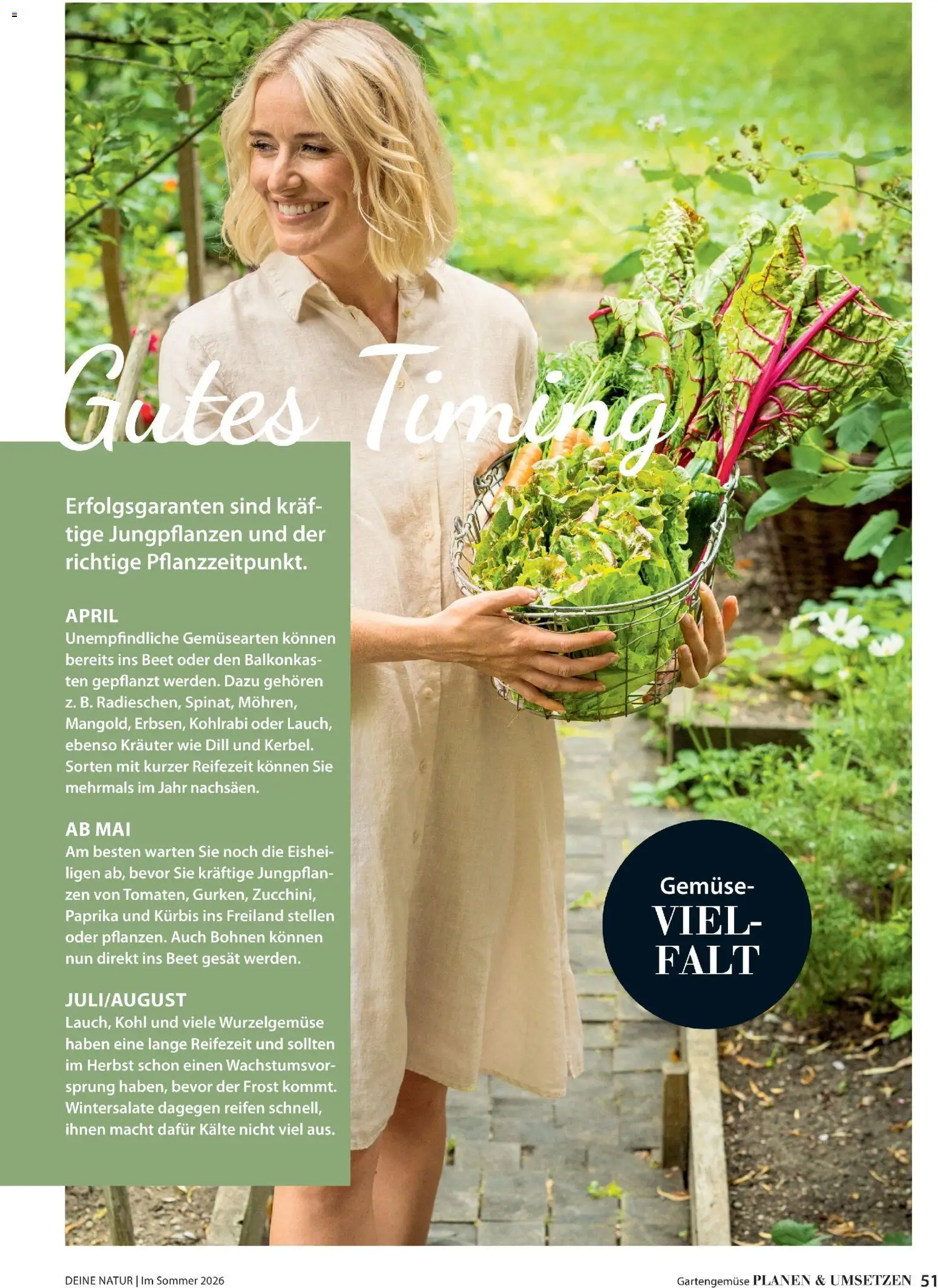 Dehner Prospekt 	 – gültig ab 17.04.2026 | Seite: 51 | Produkte: Gemüse, Paprika, Kürbis, Dill