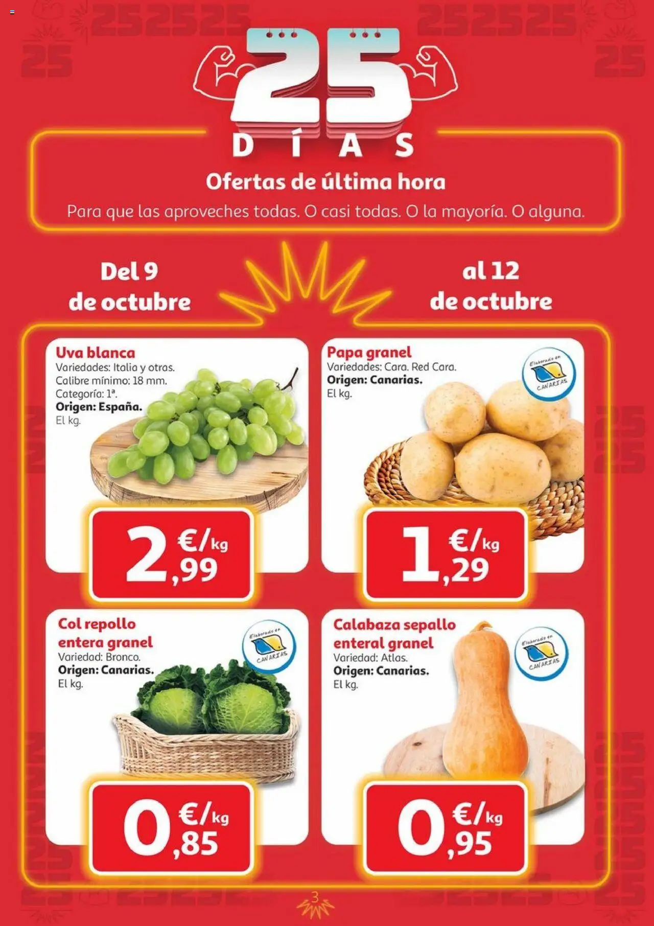 Alcampo - Canarias │ válido desde el 09.10.2025 | Página: 3 | Productos: Σφουγγαρίστρα, Πράσινο τσάι