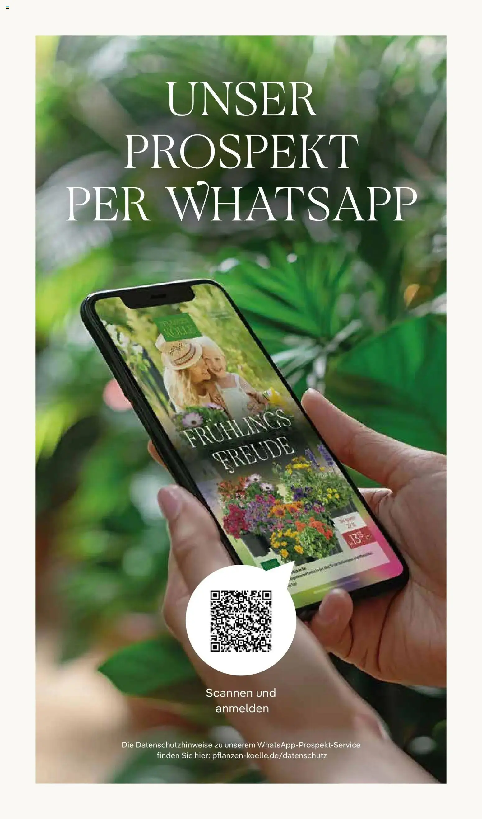Pflanzen-Kölle Frühlingsfreude – gültig ab 13.04.2026 | Seite: 14
