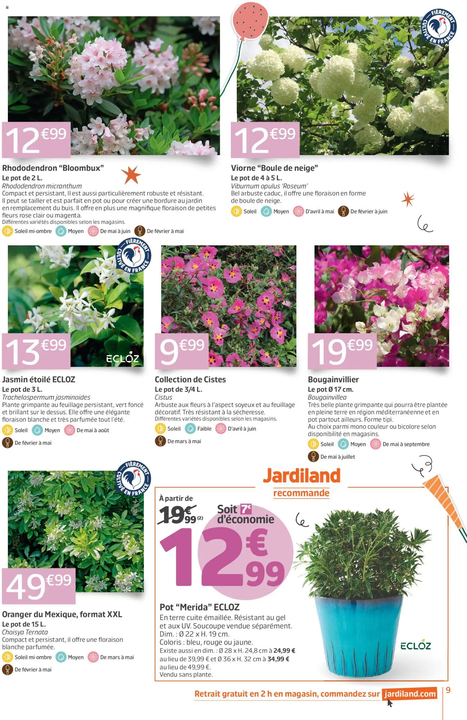 {H1} | Page: 9 | Produits: Rhododendron, Bougainvillier
