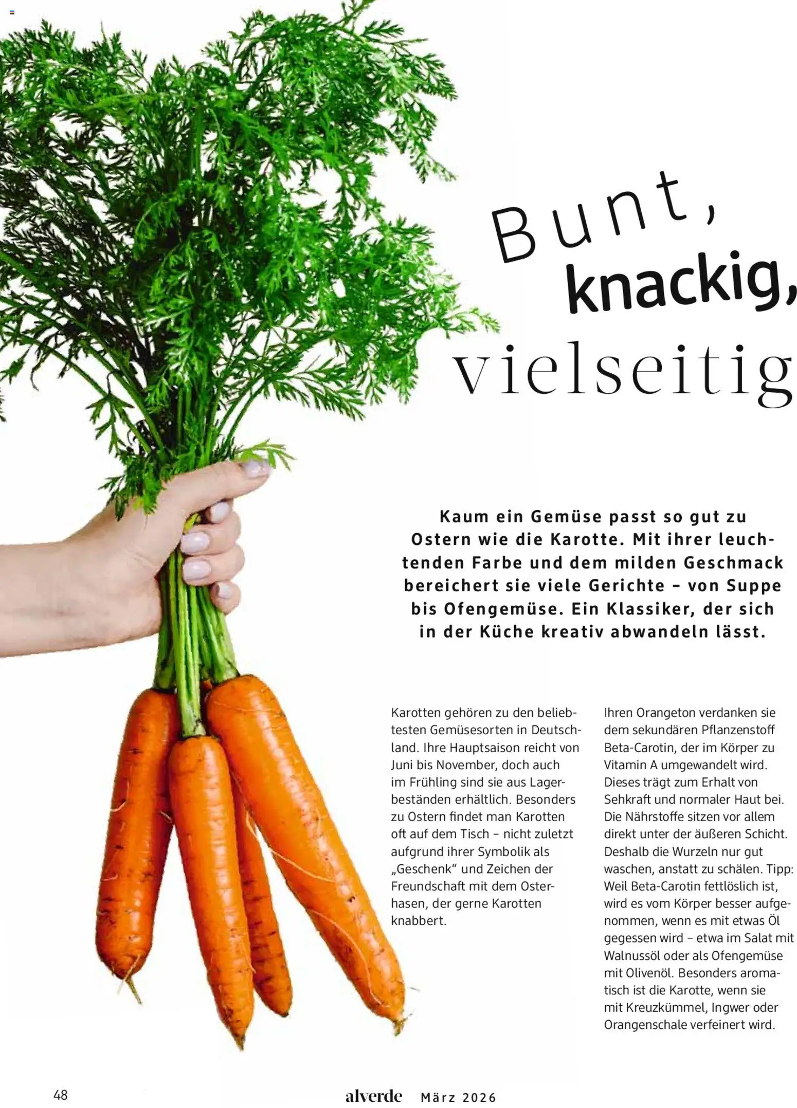 dm drogerie Prospekt 	 – gültig ab 01.03.2026 | Seite: 48 | Produkte: Öl, Tisch, Gemüse, Salat