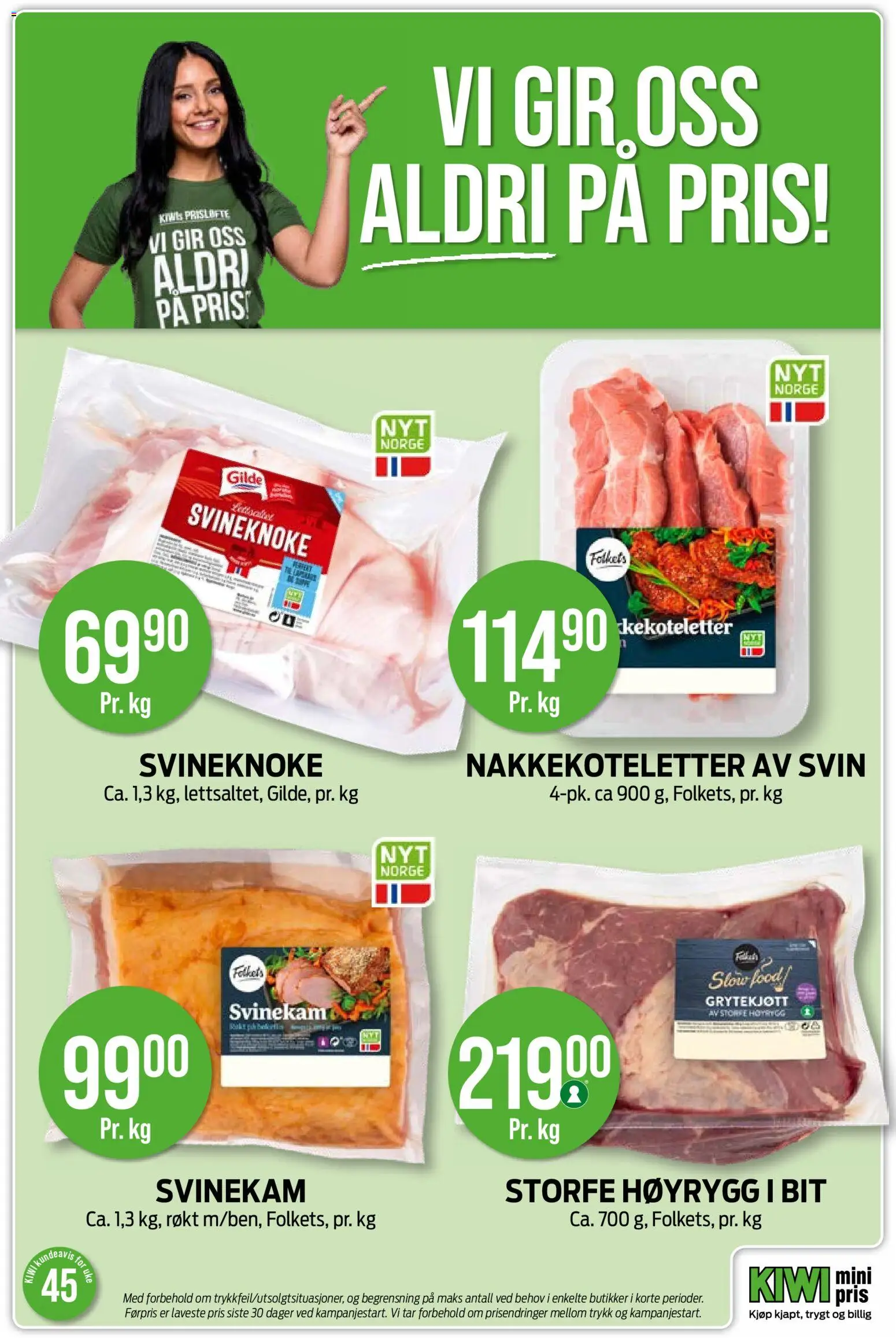 {H1} | Side: 22 | Produkter: Svin, Kiwi, Električni radiator