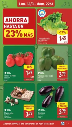 Vista previa Berenjena, Eggplant, origin Spain. Category: I. Sold loose. válido desde el 16.03.2026 | Página: 5