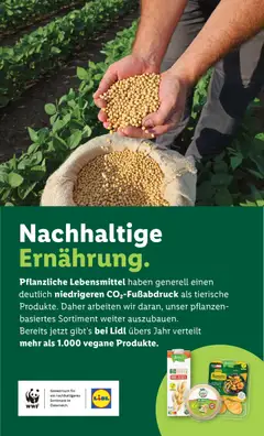 Lidl Flugblatt ab 08.01.2026 gültig | Seite: 43 | Produkte: Zucker, Erbsen, Libacomb