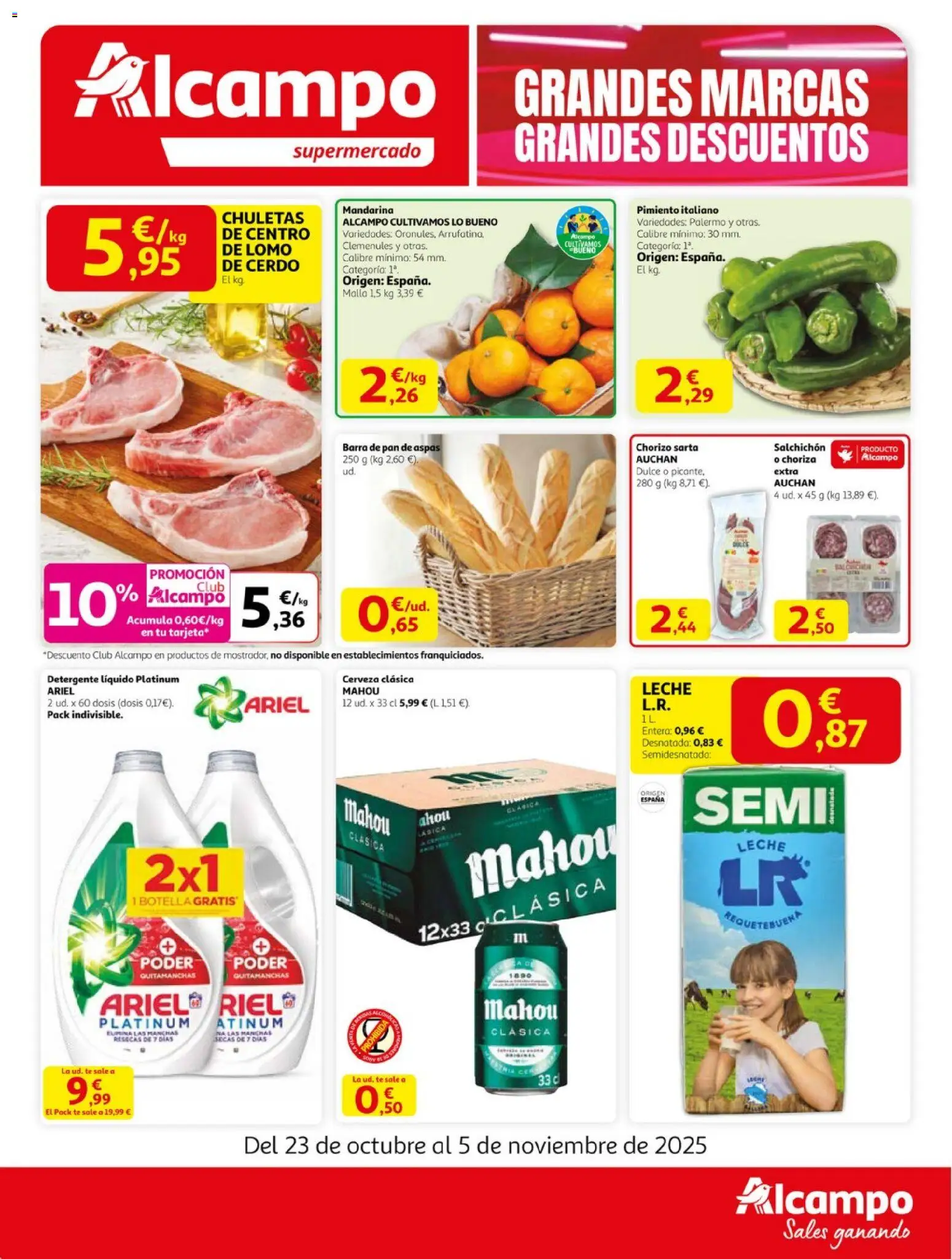 Alcampo - Maxi  │ válido desde el 23.10.2025 | Página: 1 | Productos: Detergente, Leche, Cerdo, Té