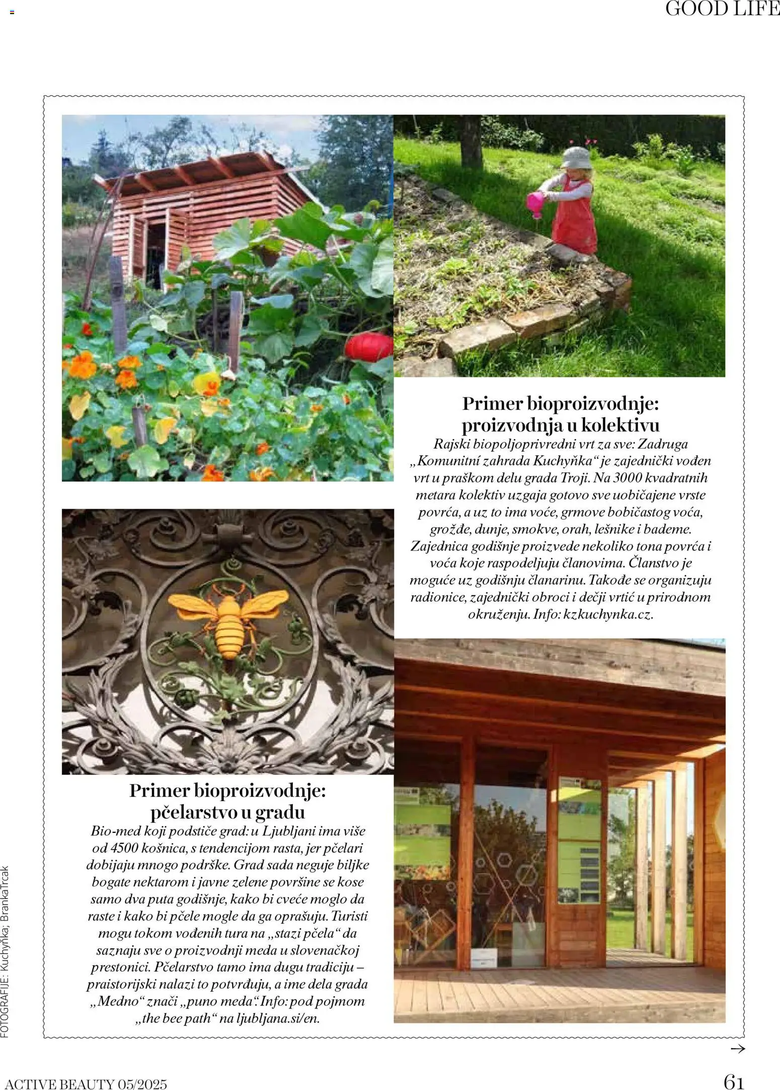 DM Drogerie katalog - važi od 08.12.2025 | Strana: 61 | Proizvode: Cvece