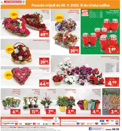 Interspar katalog | vrijedi od 17.09.2025 | Stranica: 42