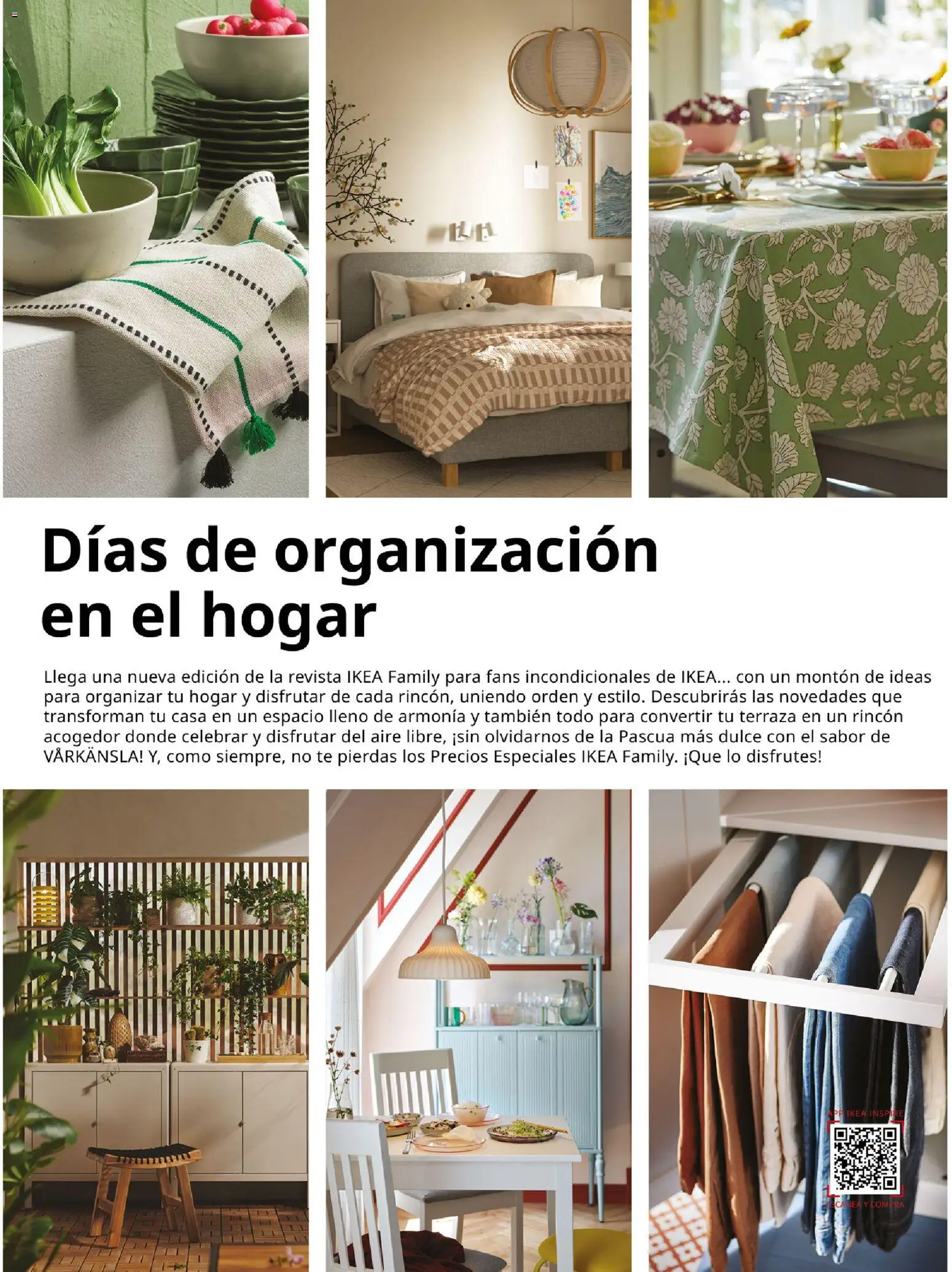 Catálogo IKEA Family Mallorca │ válido desde el 01.01.2026 | Página: 5 | Productos: Té