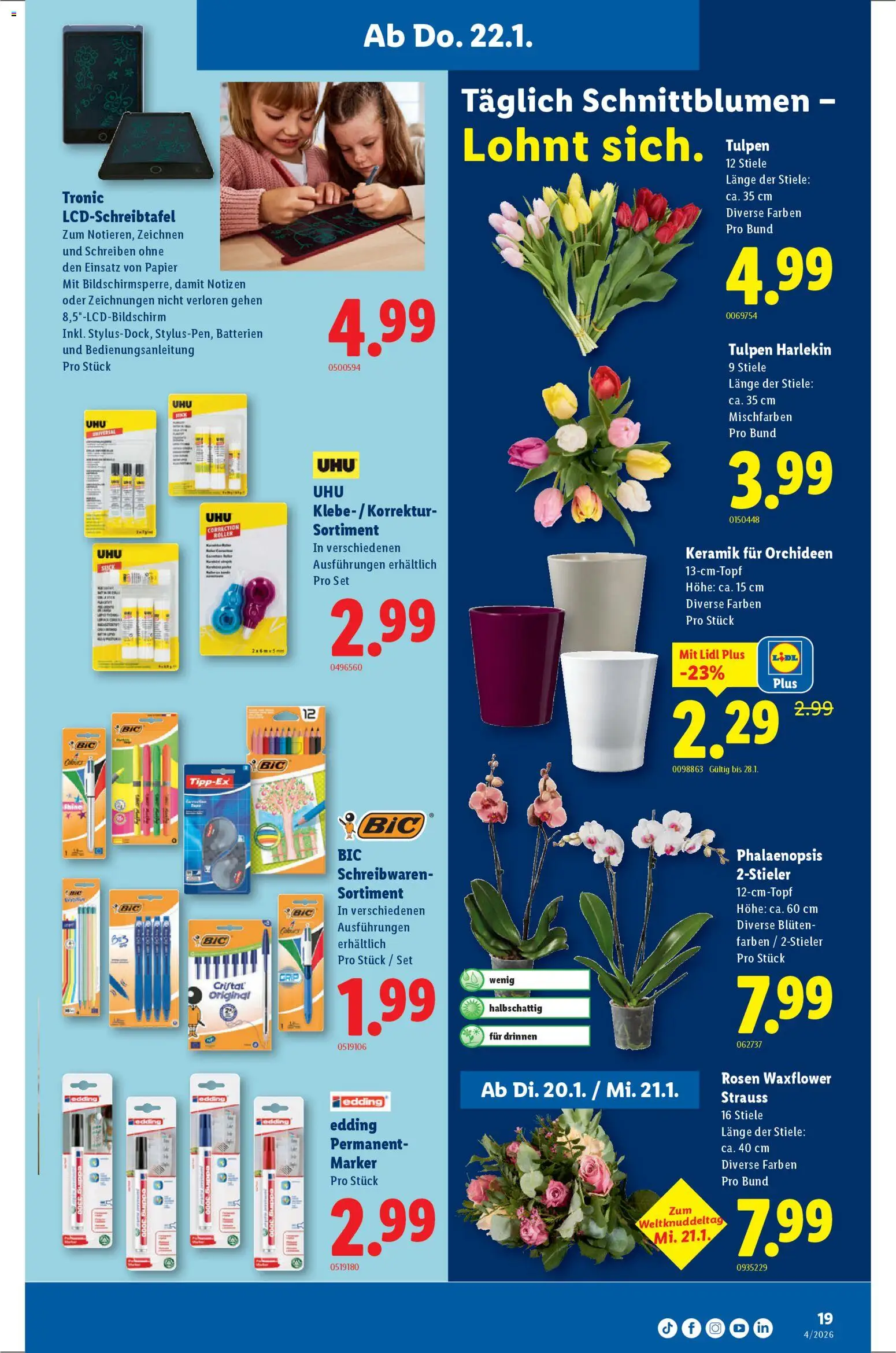 Lidl Aktionen – gültig ab 22.01.2026 | Seite: 19