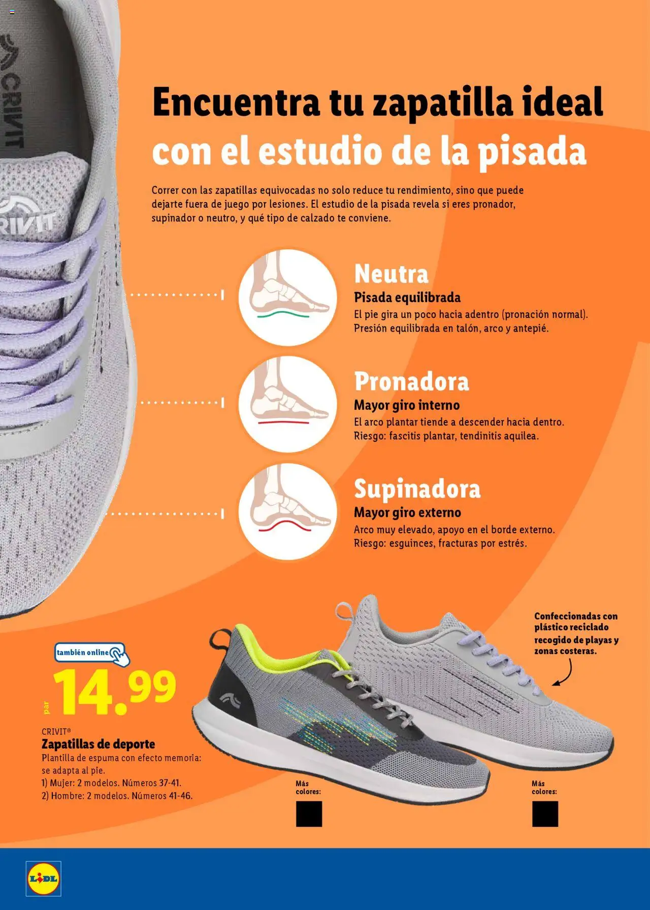 Lidl folleto │ válido desde el 23.06.2025 | Página: 24 | Productos: Zapatillas, Té