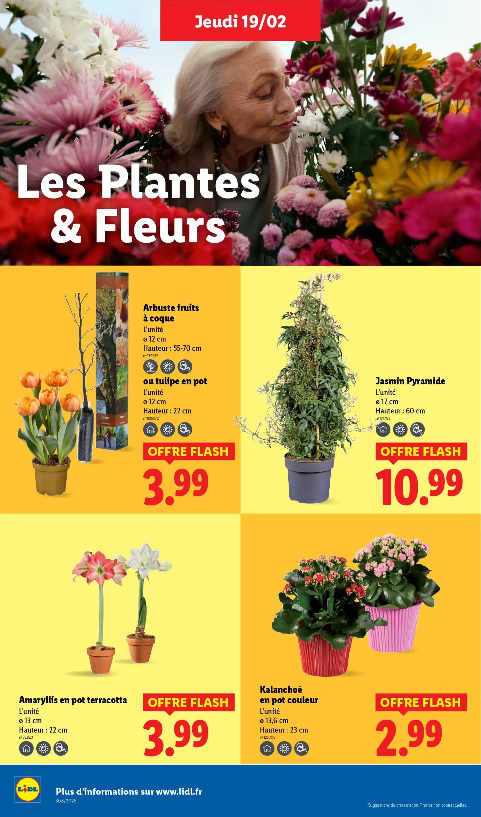 {H1} | Page: 28 | Produits: Plantes