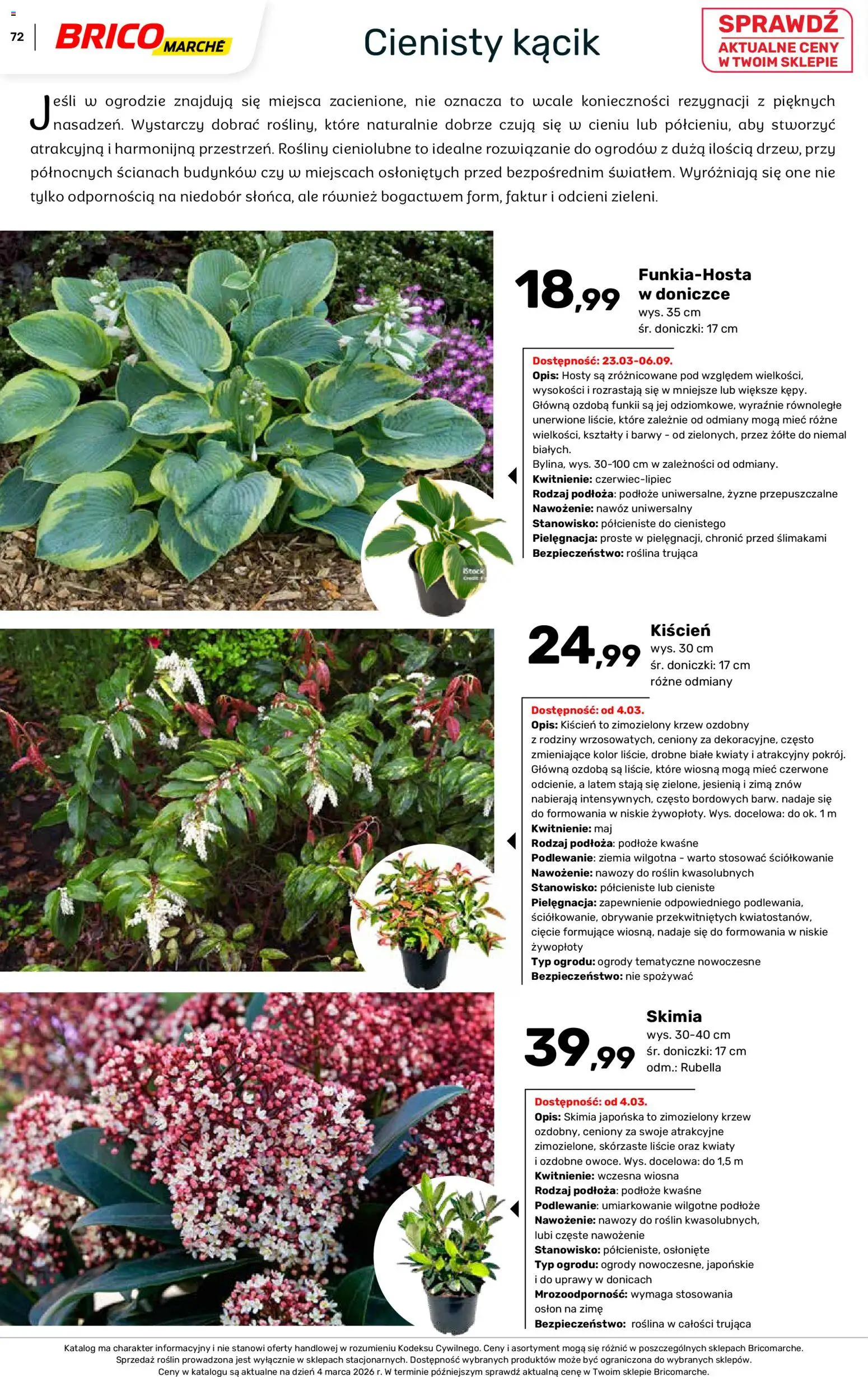 Brico Marché gazetka - Wiosna od 04.03.2026 | Strona: 72 | Produkty: Ziemia, Rosliny, Doniczki, Kwiaty