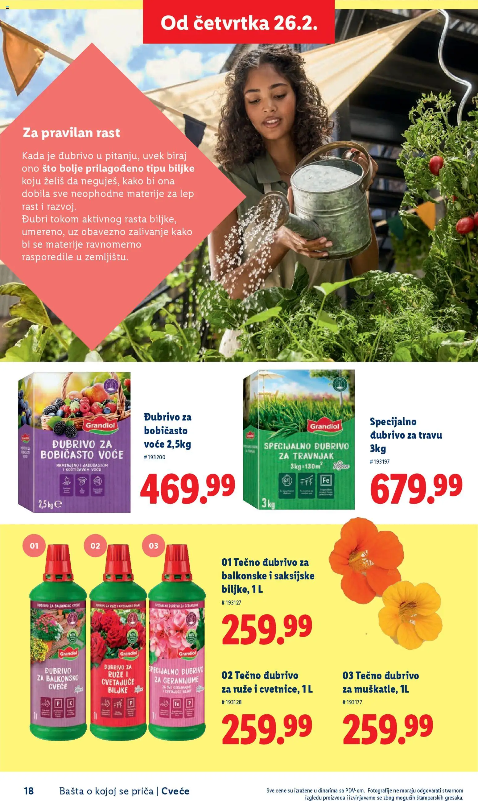 Lidl katalog - važi od 26.02.2026 | Strana: 18 | Proizvode: Sto, Ruze, Cvece