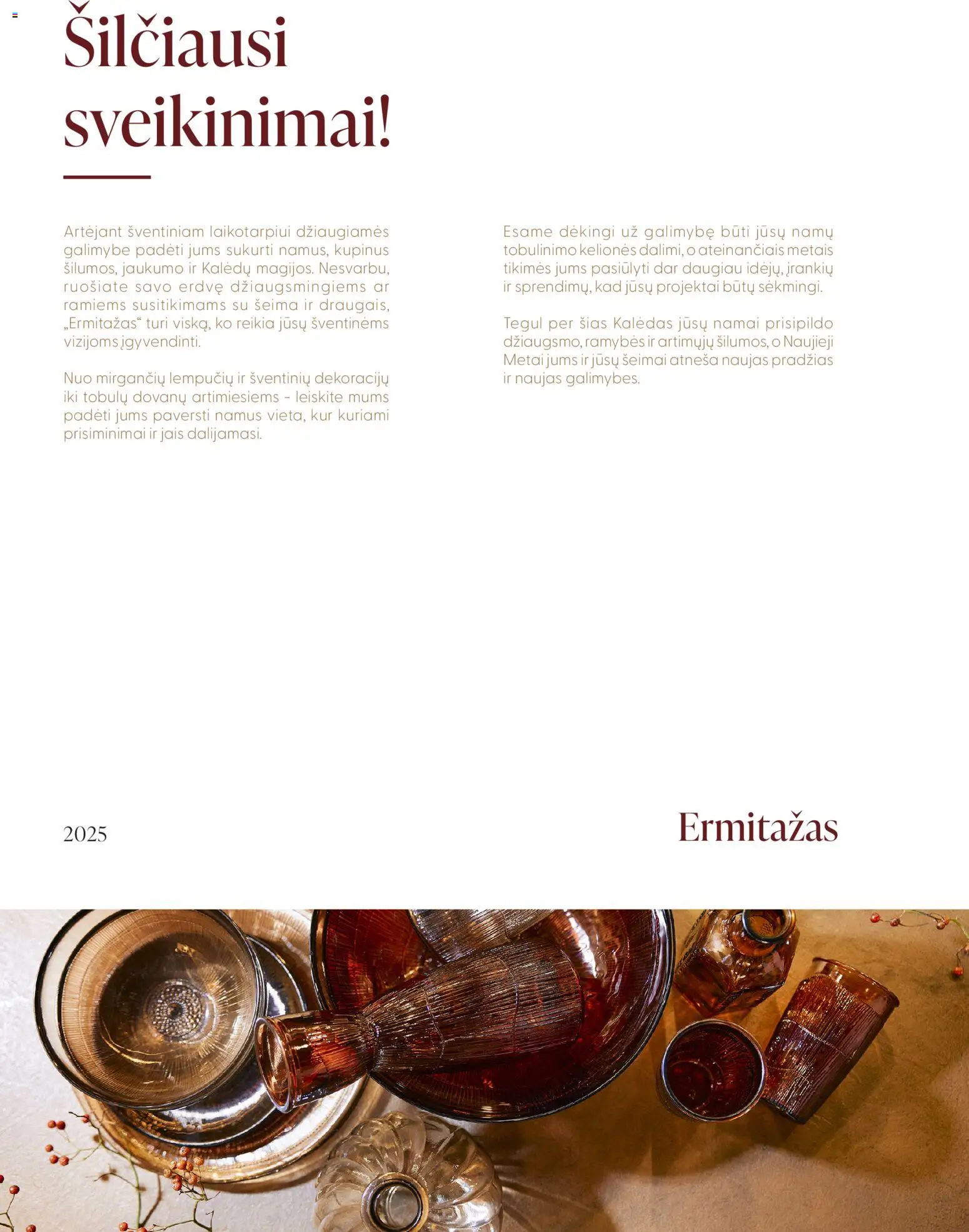 ERMITAŽAS akcijos nuo 03.11.2025 | Puslapis: 2