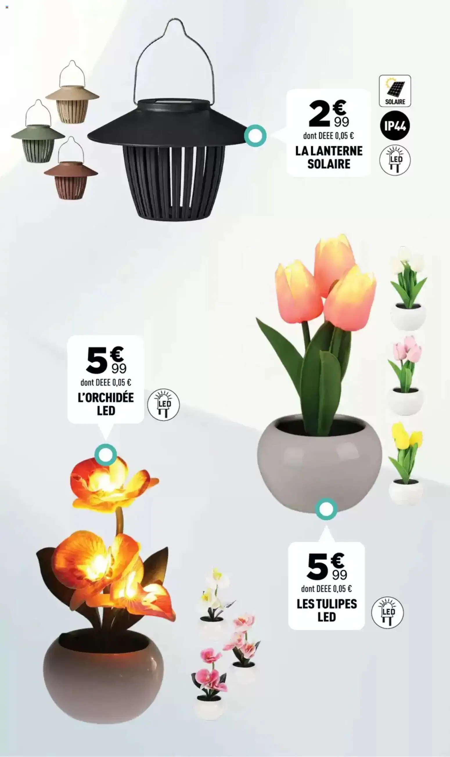 {H1} | Page: 40 | Produits: L'orchidée, Tulipes