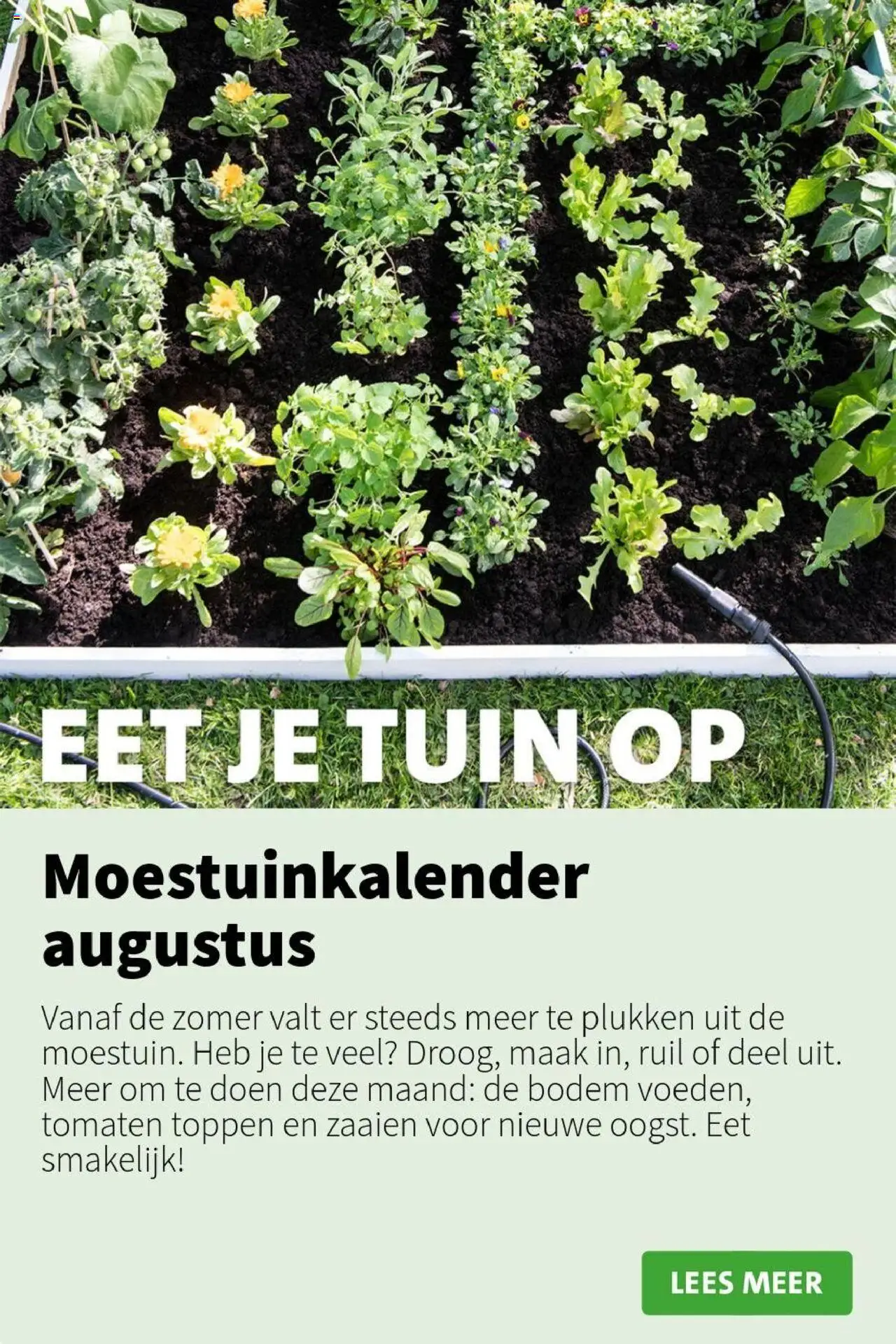  | Pagina: 4 | Producten: Tomaten