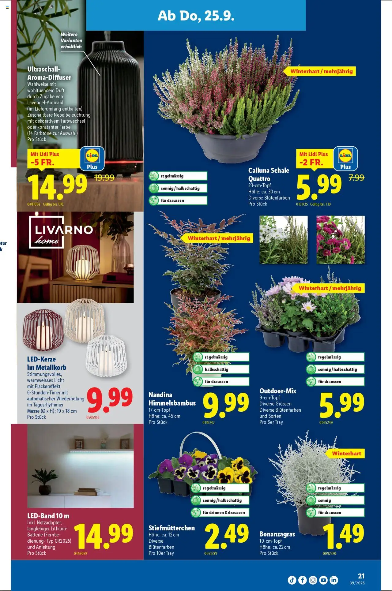 Lidl Aktionen – gültig ab 25.09.2025 | Seite: 21 | Produkte: Batterie, Duft