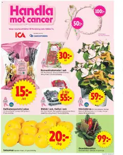 ICA Supermarket - erbjudanden - Förhandsvisning av reklamblad från butik ICA Supermarket aktuell från 20.10.2025 | Sida: 9