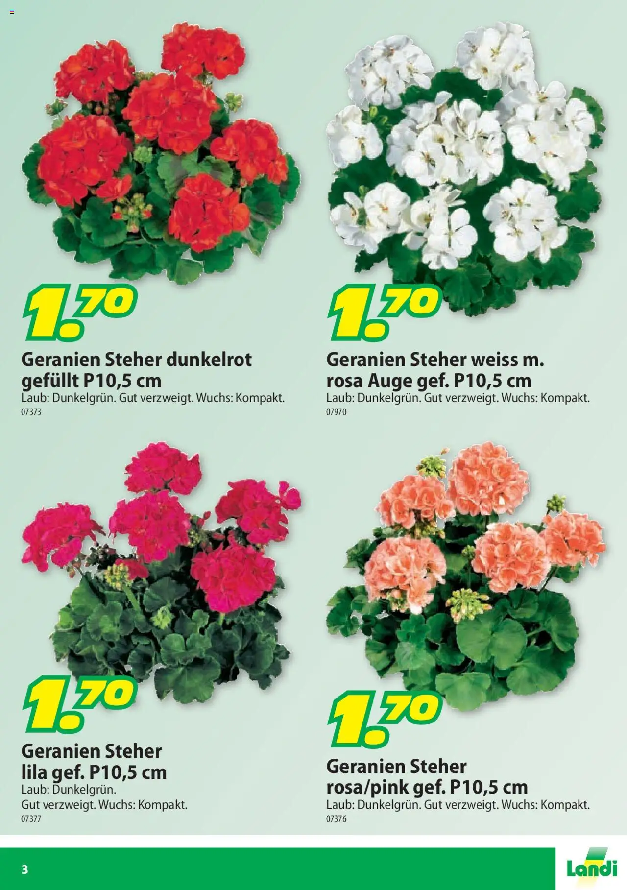 Landi Aktionen Geranien ab 17.03.2025 | Seite: 3