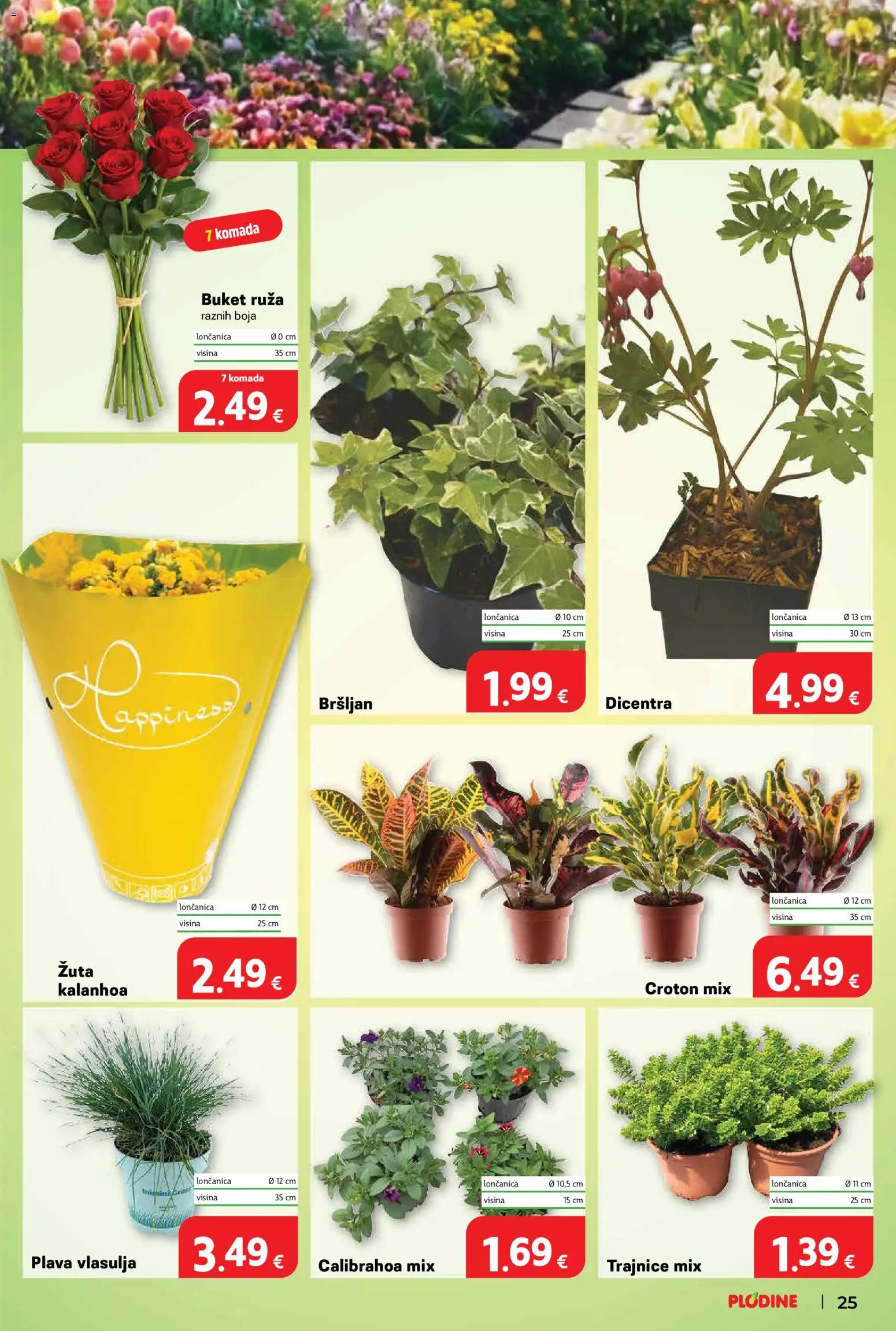 Plodine katalog | vrijedi od 01.04.2026 | Stranica: 33