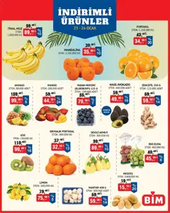 23.01.2026 tarihinden itibaren geçerli olan BİM kataloğu önizlemesi