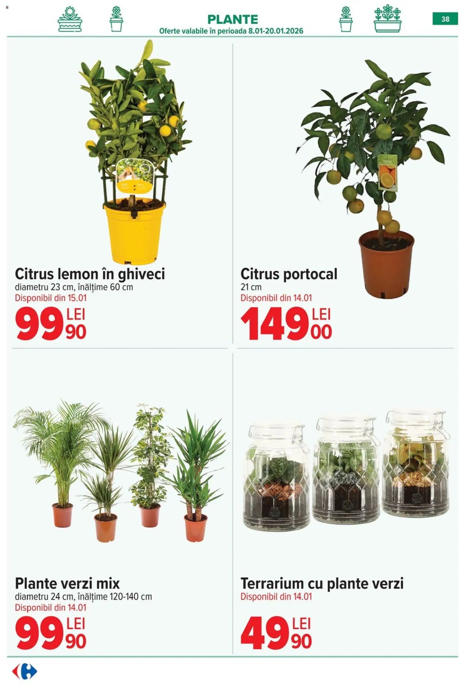 Noul catalog Carrefour – valabil de la 14.01.2026 | Pagină: 39 | Produse: Tigaie, Cratiță