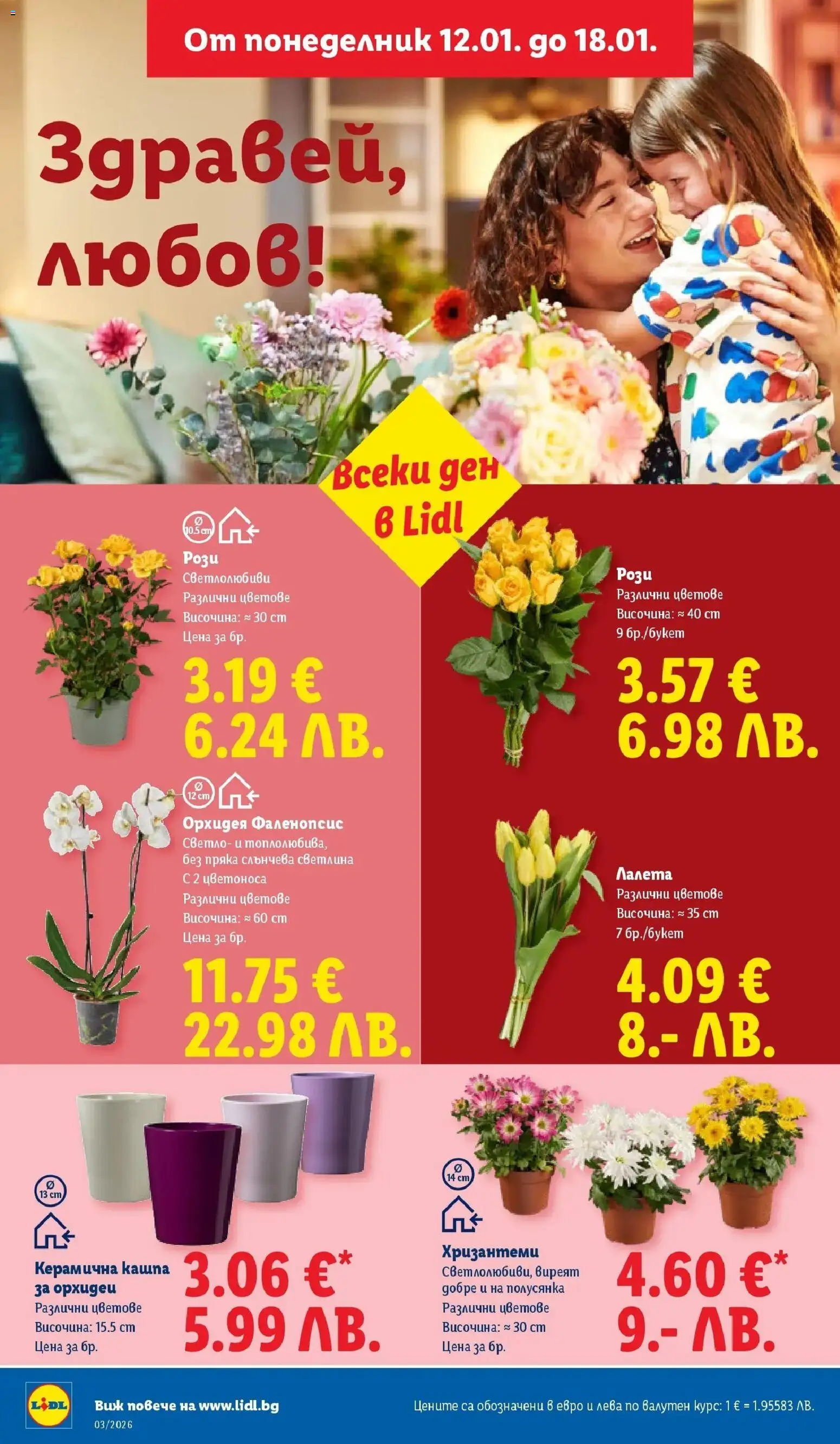 {H1} | Страница: 38 | Продукти: Кашпа, Орхидея