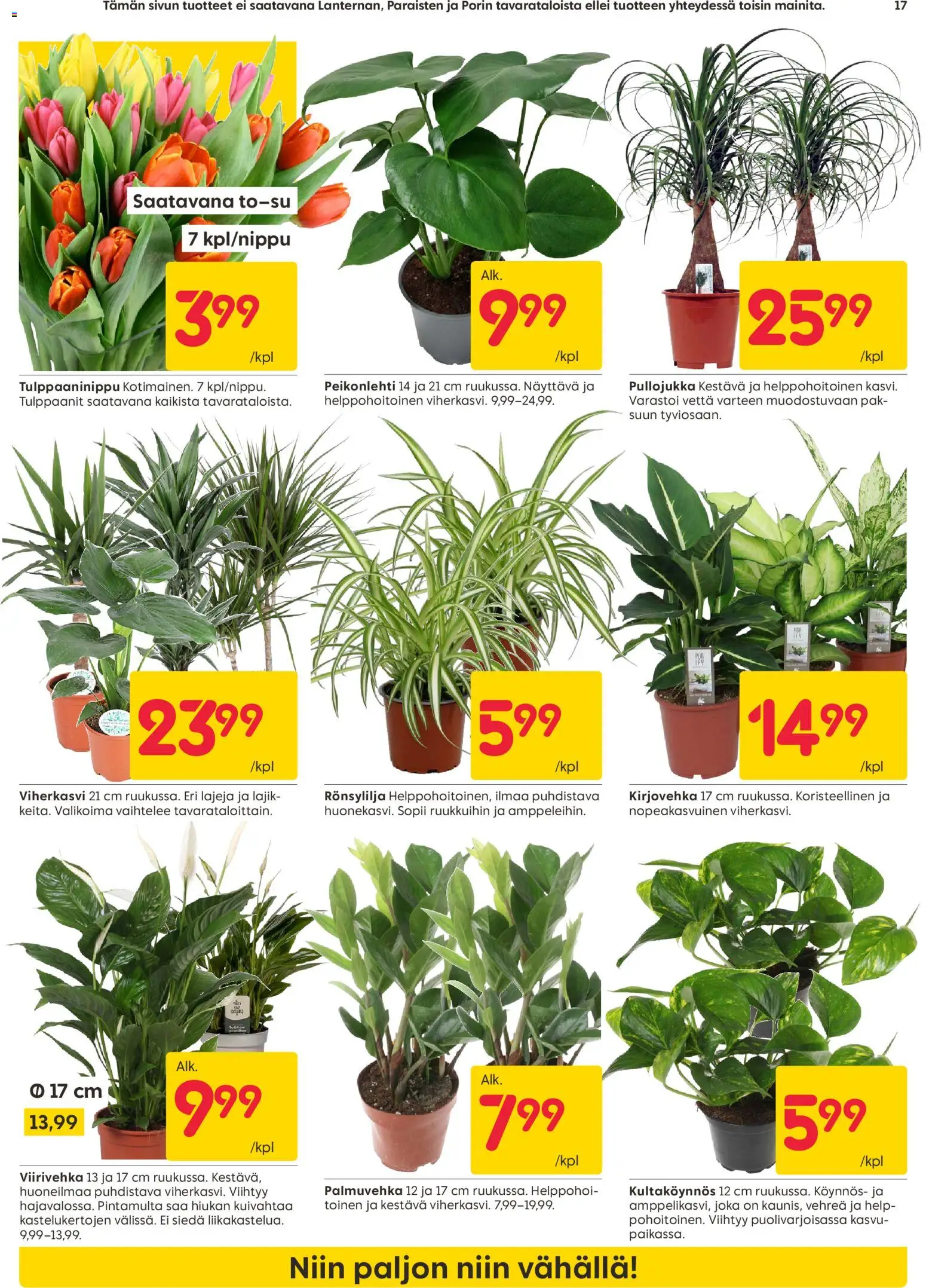 Rusta tarjoukset – voimassa 19.01.2026 alkaen | Sivu: 17