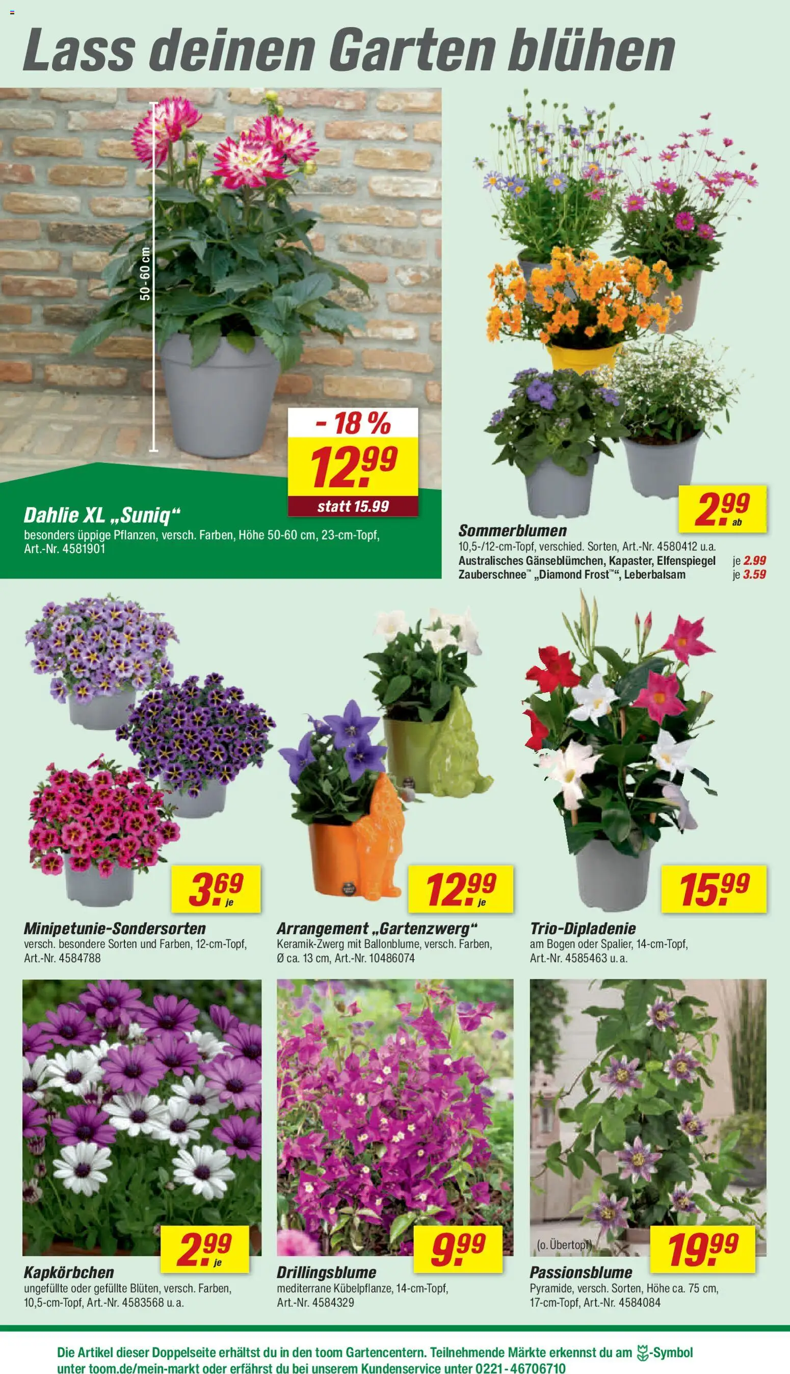 Toom Baumarkt Prospekt 	 – gültig ab 18.04.2026 | Seite: 8