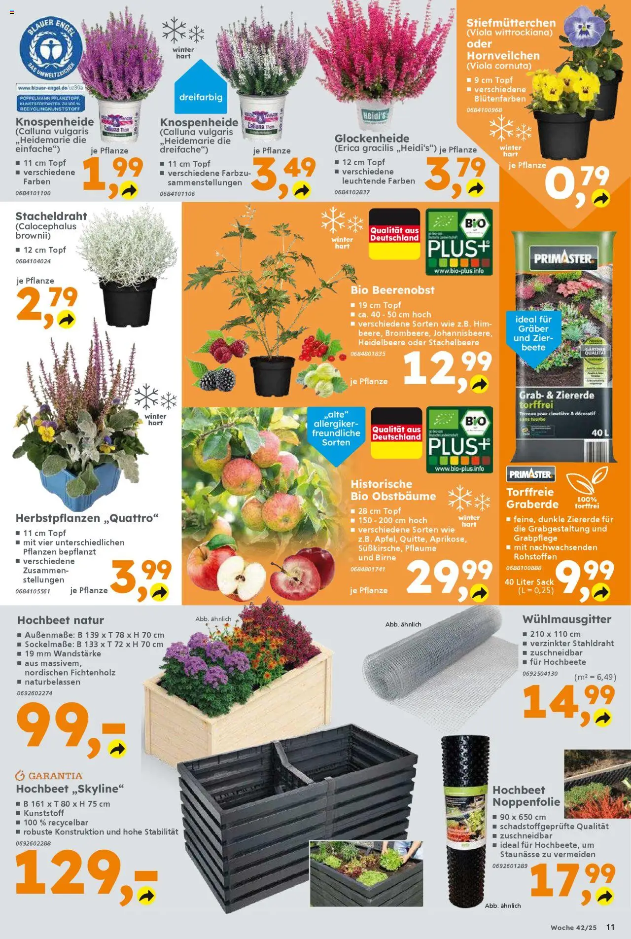 Globus Baumarkt prospekt Weinstadt-Endersbach	 – gültig ab 13.10.2025 | Seite: 11 | Produkte: Hochbeet, Stiefmutterchen, Birne