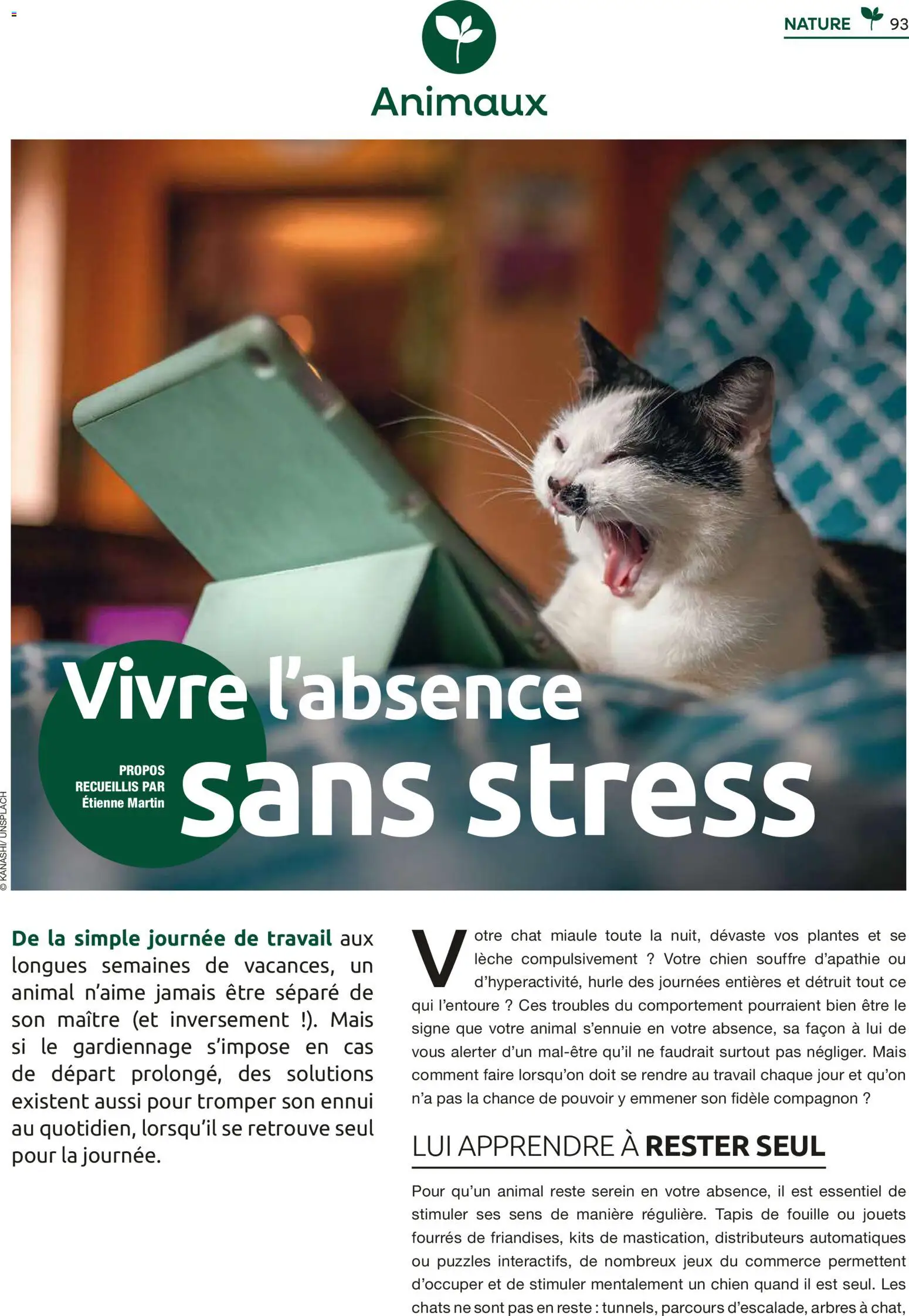 {H1} | Page: 93 | Produits: Plantes, Mais, Tapis, Jeux