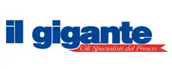 Logo Il Gigante della sezione Iper Supermercati