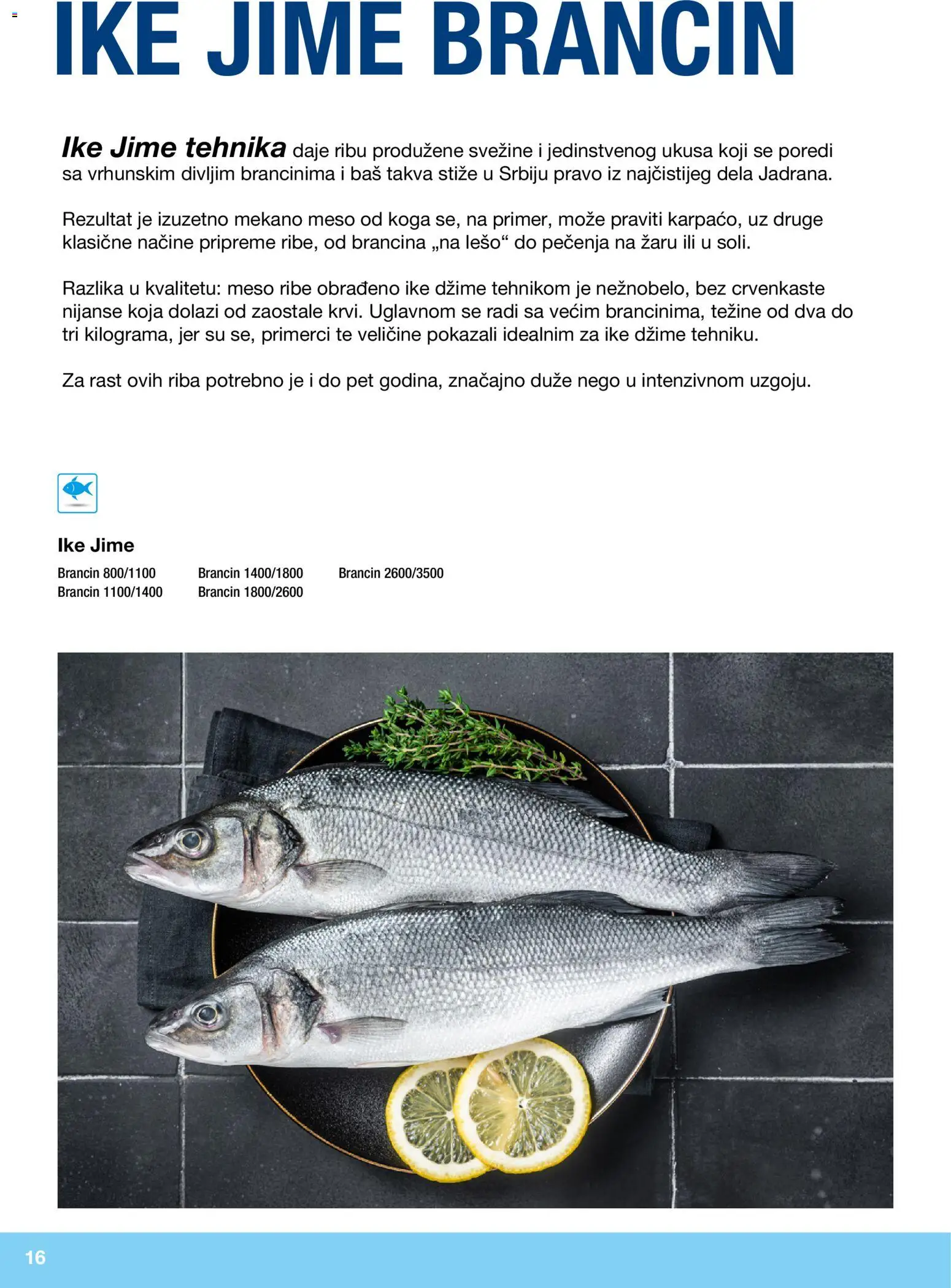 Metro katalog - važi od 10.12.2025 | Strana: 16 | Proizvode: Brancin, Riba