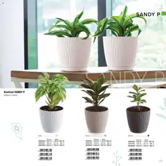 Kvetináč SANDY P, plastový, s miskou │ platný od 07.02.2025 | Strana: 25