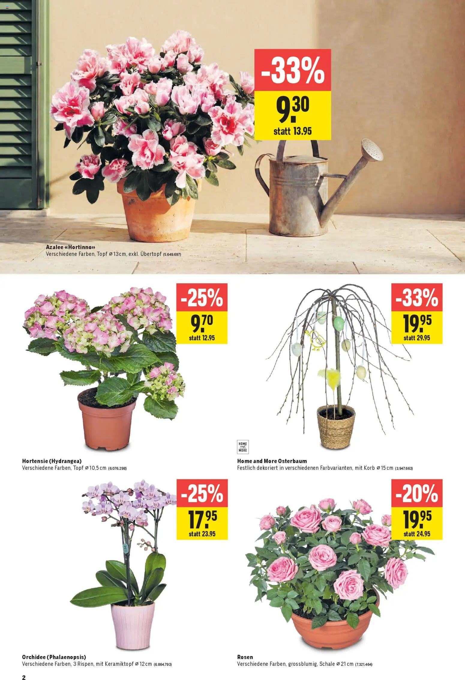 Jumbo aktionen – gültig ab 12.03.2026 | Seite: 2 | Produkte: Korb